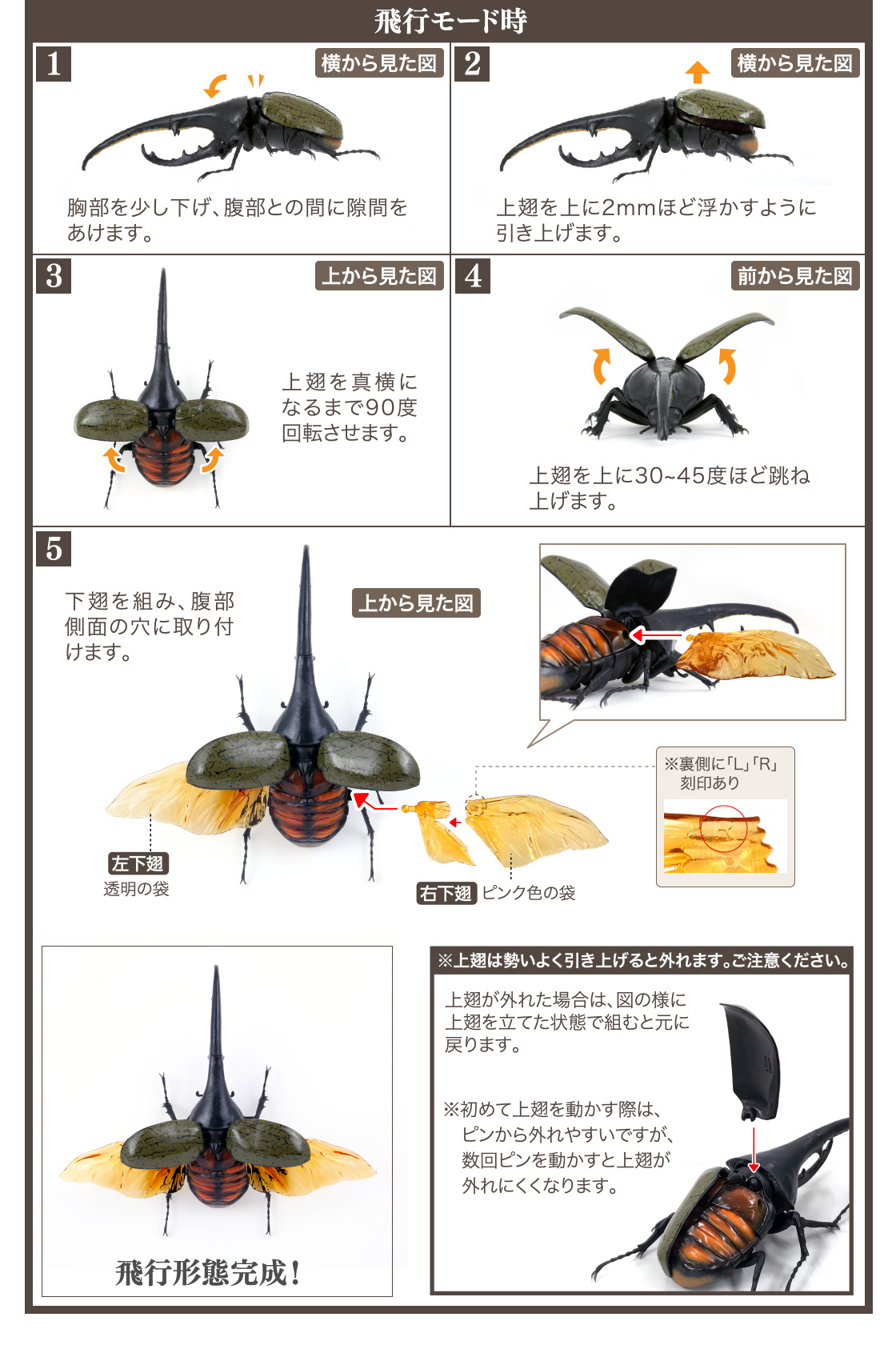 かぶとむし いきもの大図鑑 ガシャポンオフィシャルサイト かぶとむし いきもの大図鑑 ガシャポンオフィシャルサイト