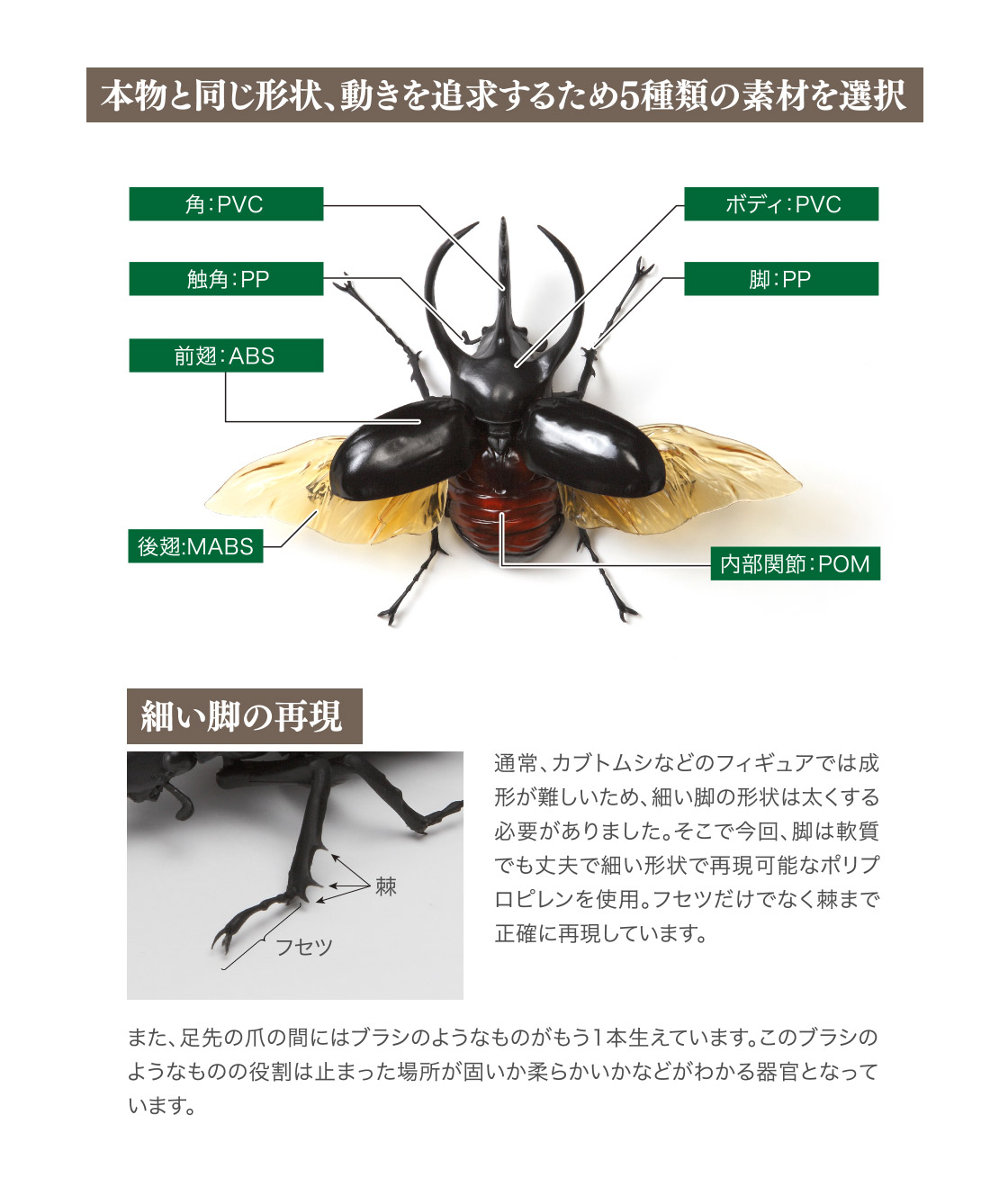 すずらん いきもの大図鑑 まとめ - 通販 - www.worldjumping.co.uk