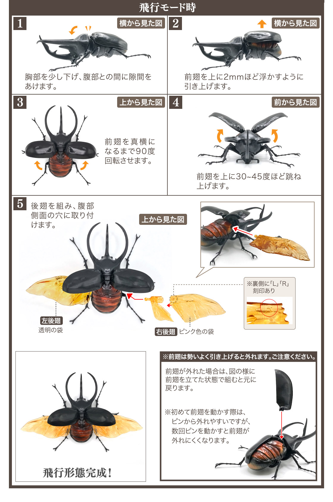 いきもの大図鑑 かぶとむし02 全5種　フルコンプ