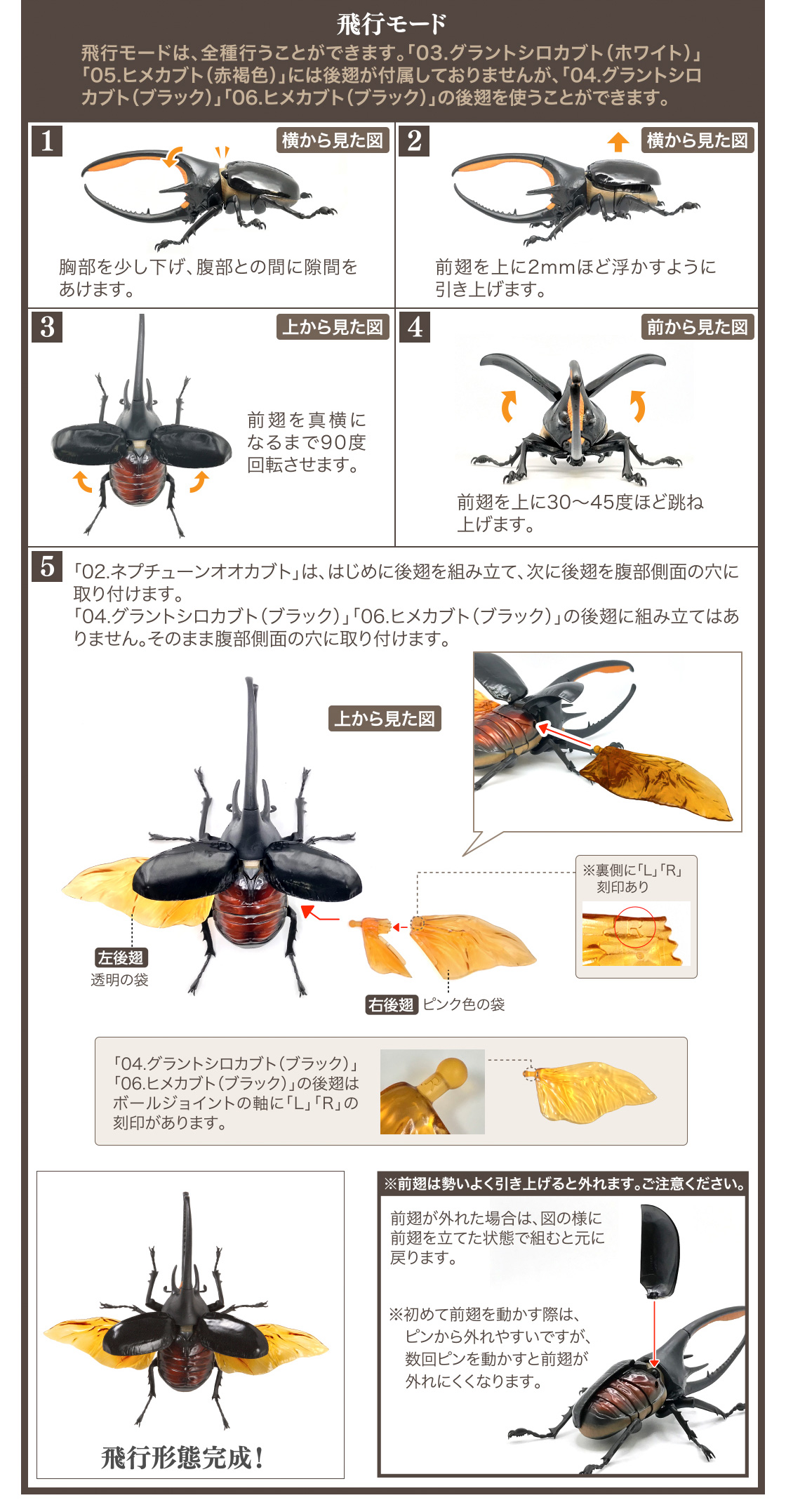 いきもの大図鑑 かぶとむし03 いきもの大図鑑 ガシャポンオフィシャルサイト いきもの大図鑑 かぶとむし03 いきもの大図鑑 ガシャポンオフィシャルサイト