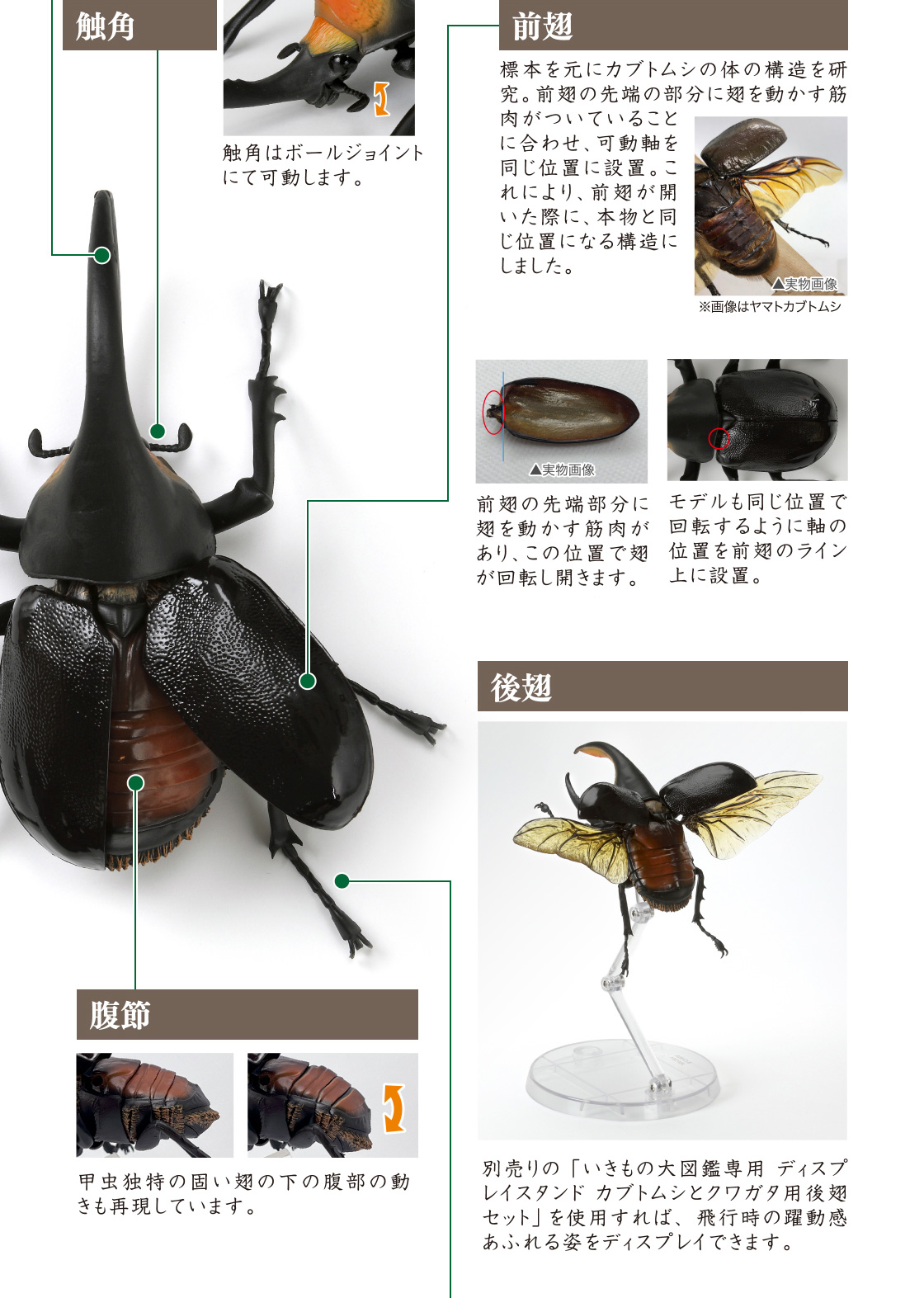 ガシャポン いきもの大図鑑 かぶとむし ヤマト コーカサス サタン セット-