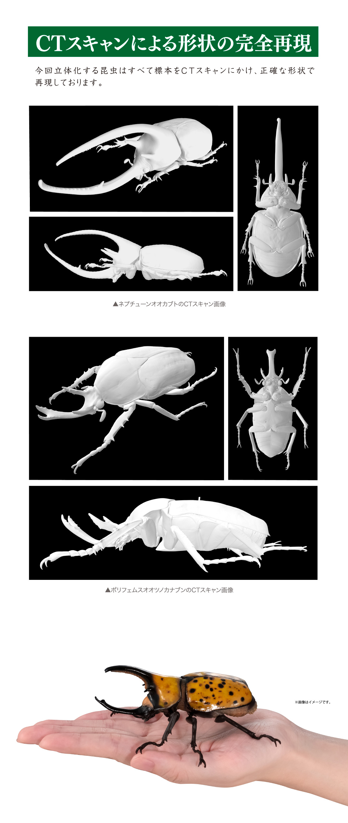 CTスキャンによる形状の完全再現