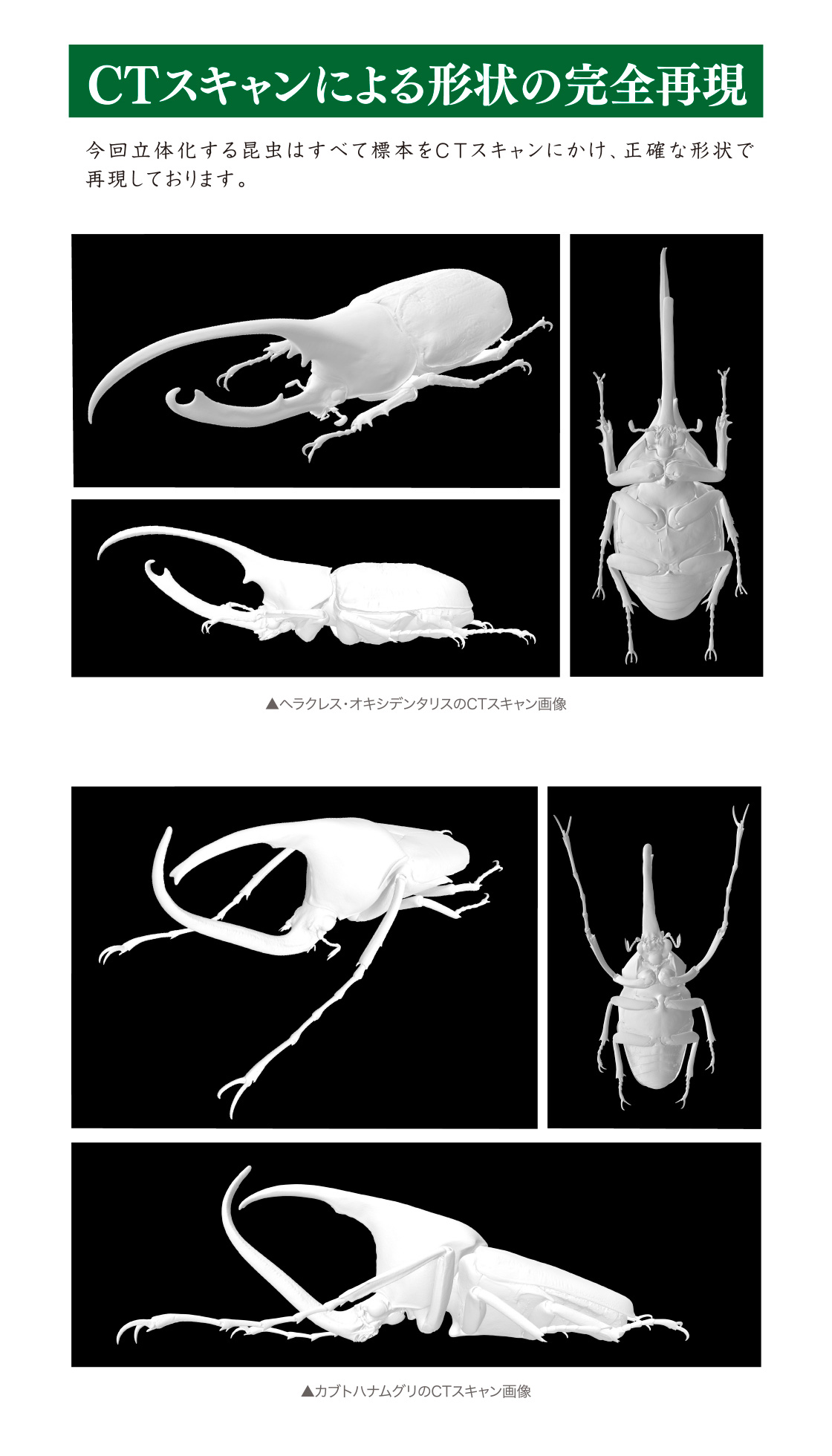 CTスキャンによる形状の完全再現