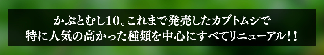 かぶとむし10 これまで発売したカブトムシで特に人気の高かった種類を中心にすべてリニューアル！！