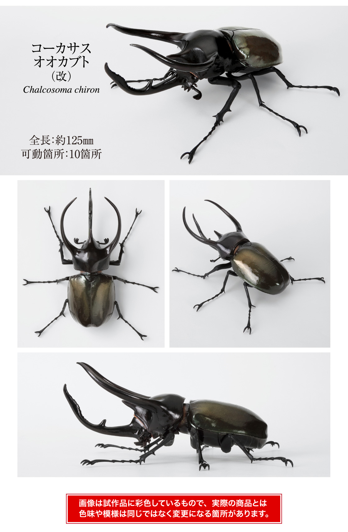 コーカサスオオカブト(改) 全長:約125mm 可動箇所:10箇所