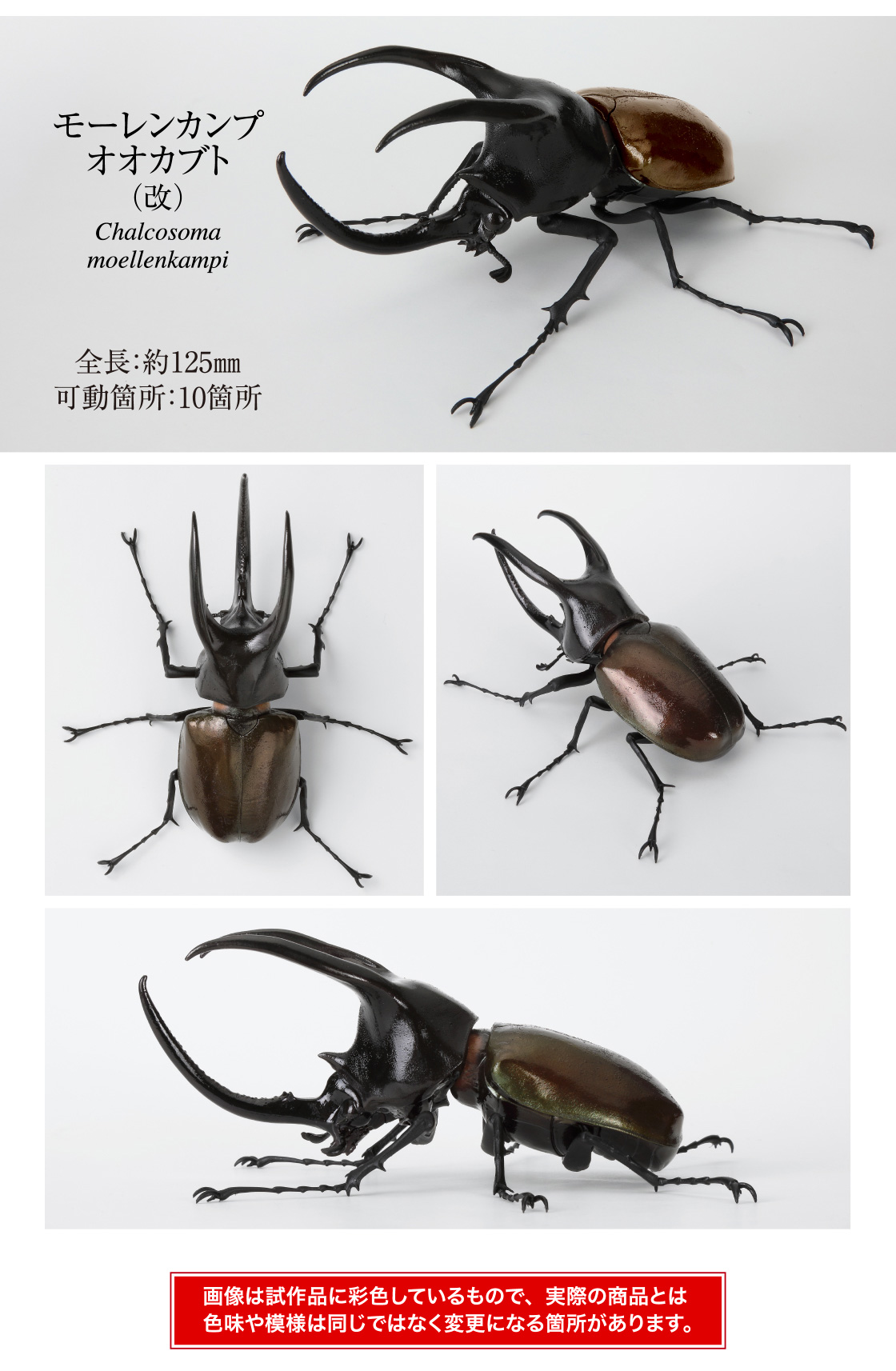 モーレンカンプオオカブト(改) 全長:約125mm 可動箇所:10箇所