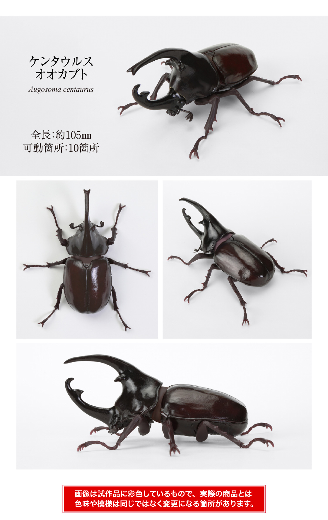 ケンタウルスオオカブト 全長:約105mm 可動箇所:10箇所