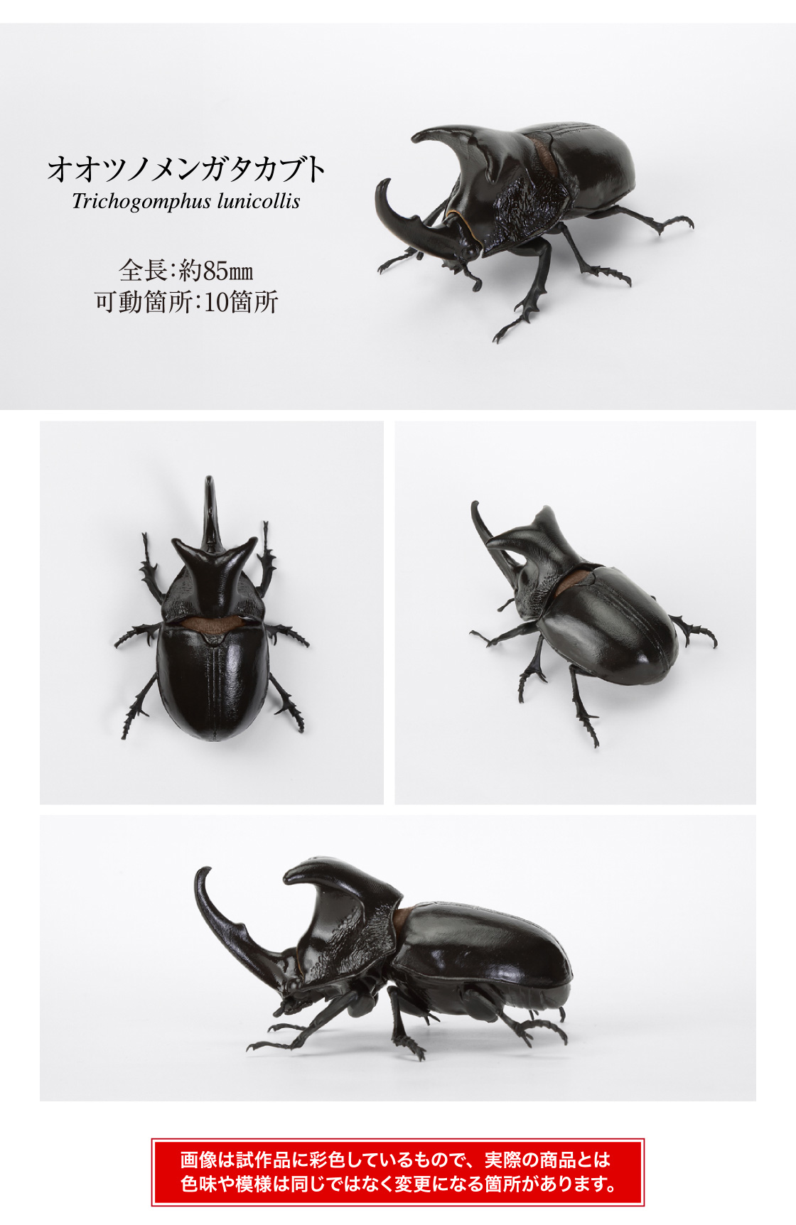 オオツノメンガタカブト 全長:約85mm 可動箇所:10箇所