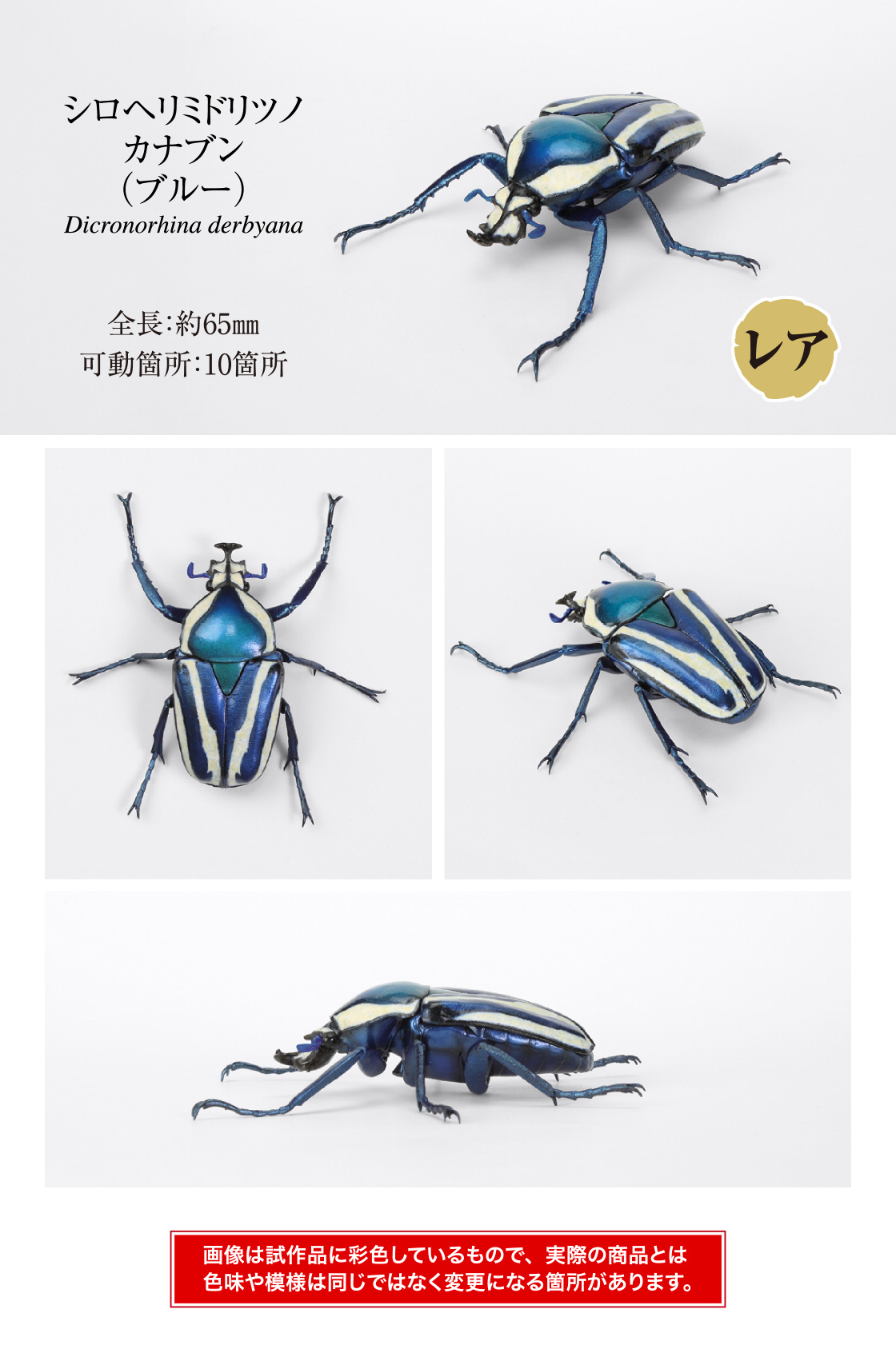 シロヘリミドリツノカナブン(ブルー) 全長:約65mm 可動箇所:10箇所