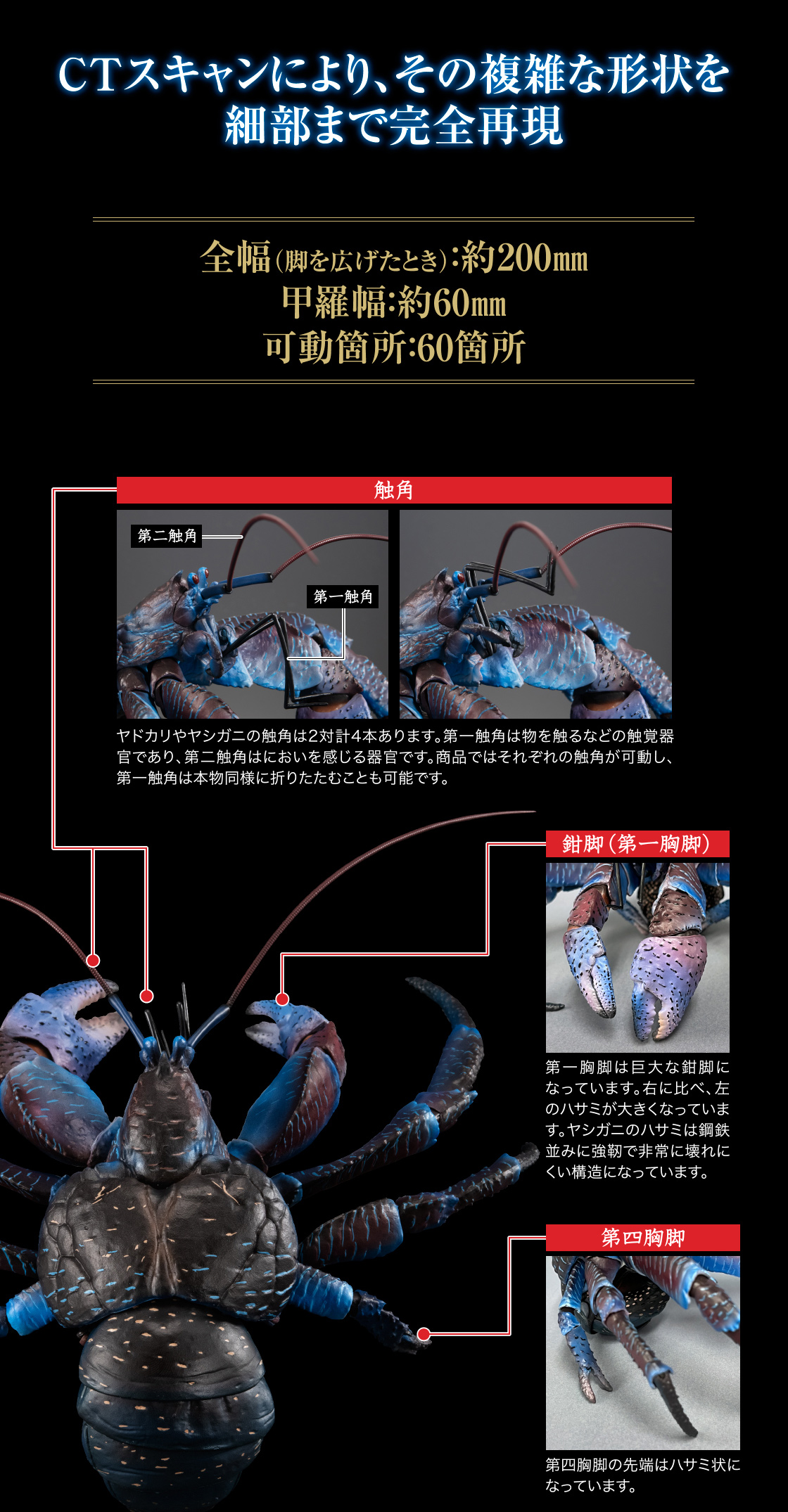 いきもの大図鑑プレミアム ヤシガニ｜いきもの大図鑑｜ガシャポン 