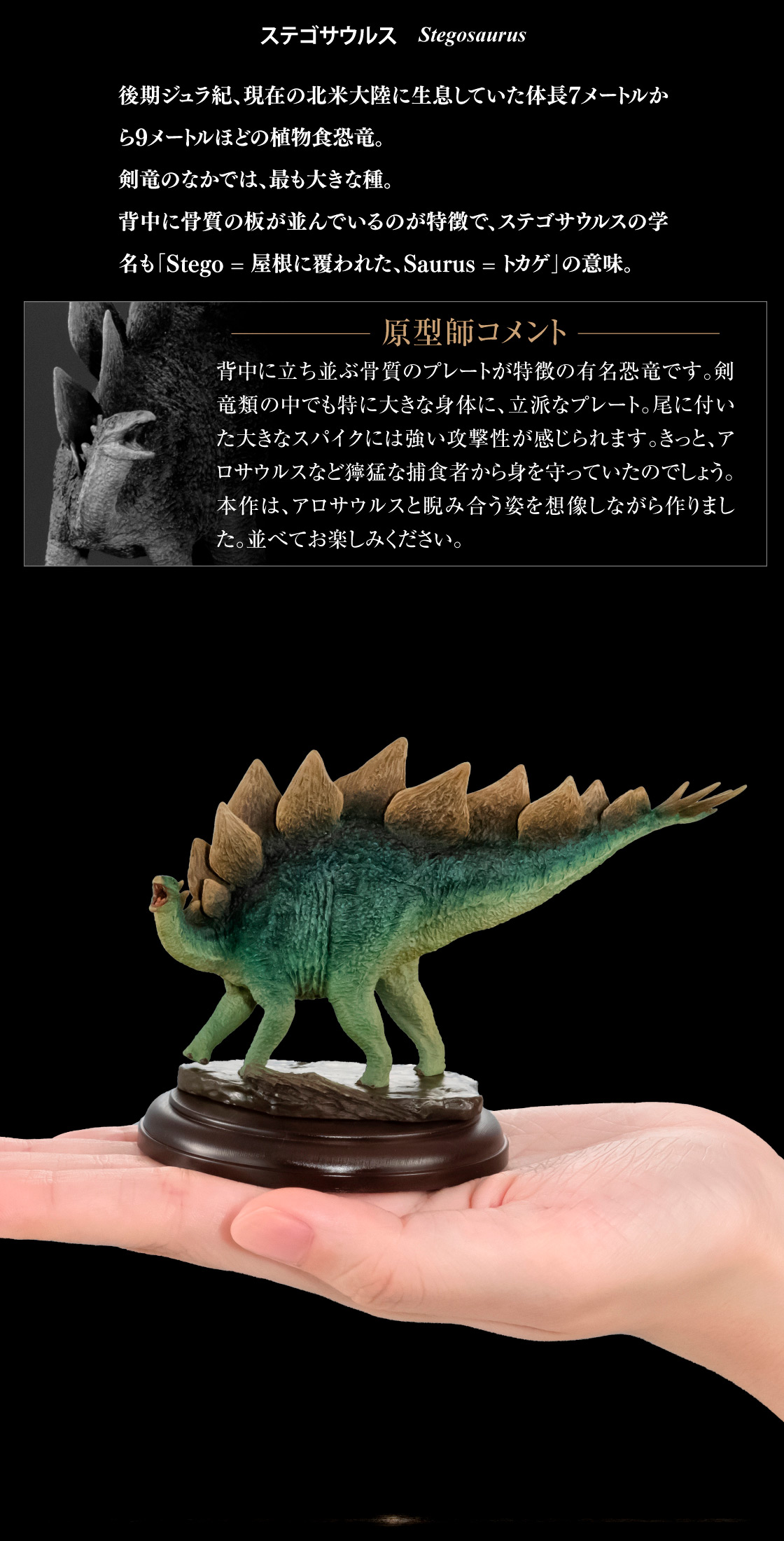 ステゴサウルス Stegosaurus