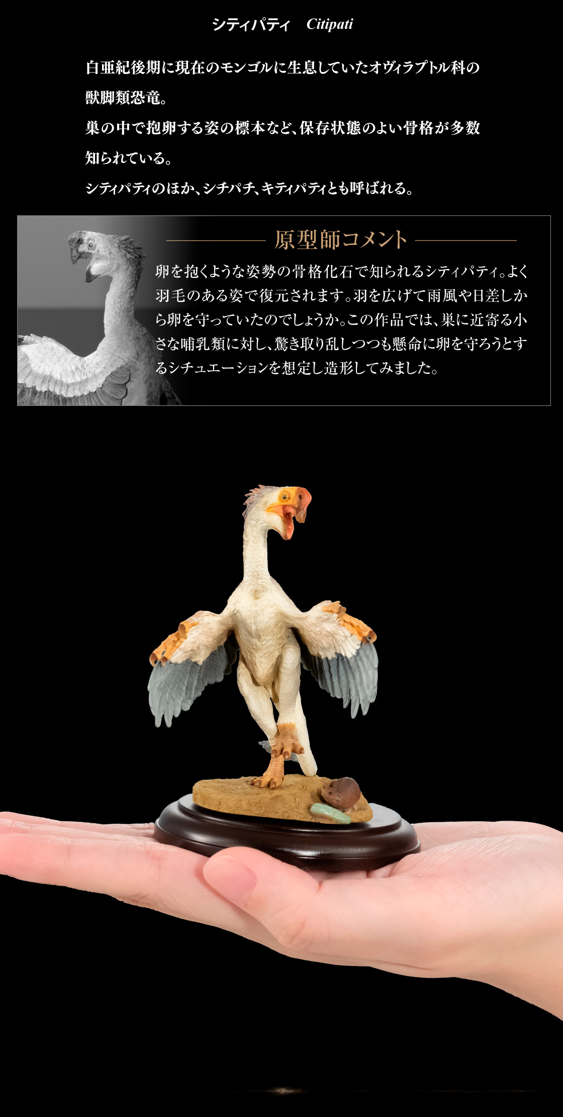 シティパティ Citipati