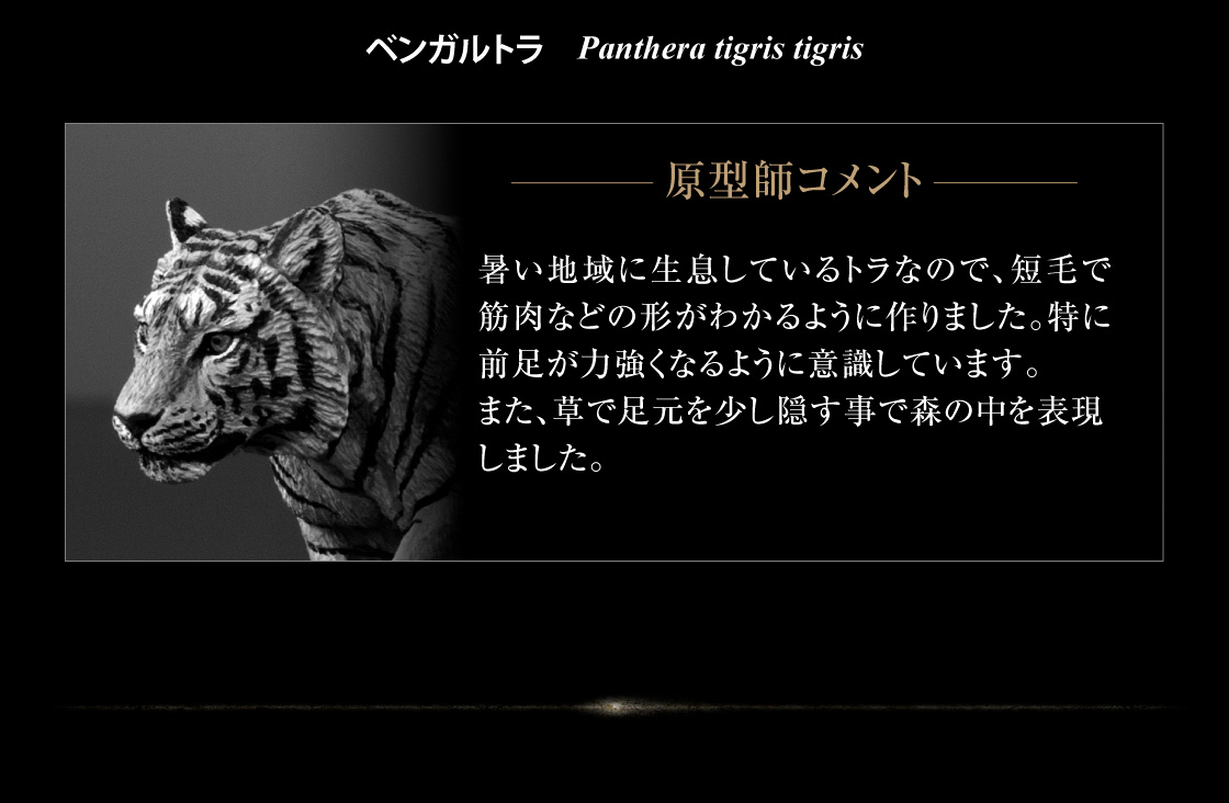 ベンガルトラ 原型師コメント