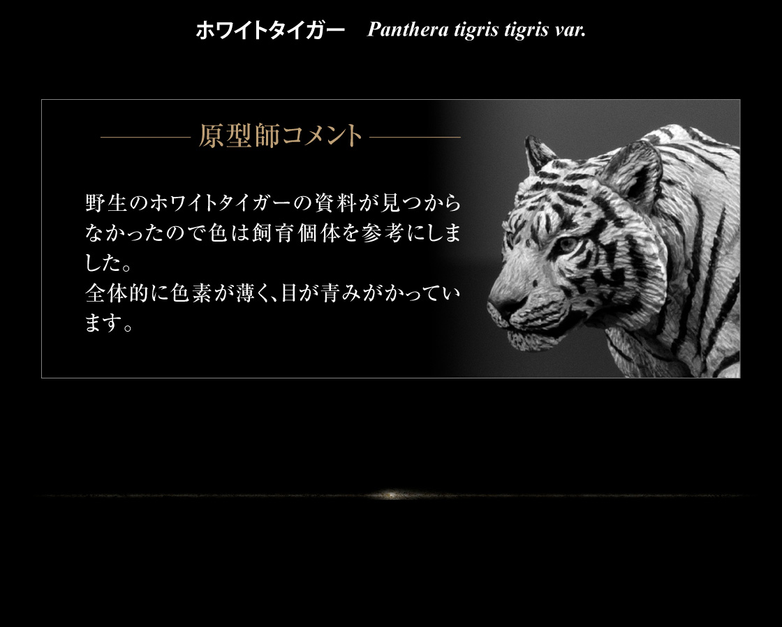 ホワイトタイガー 原型師コメント