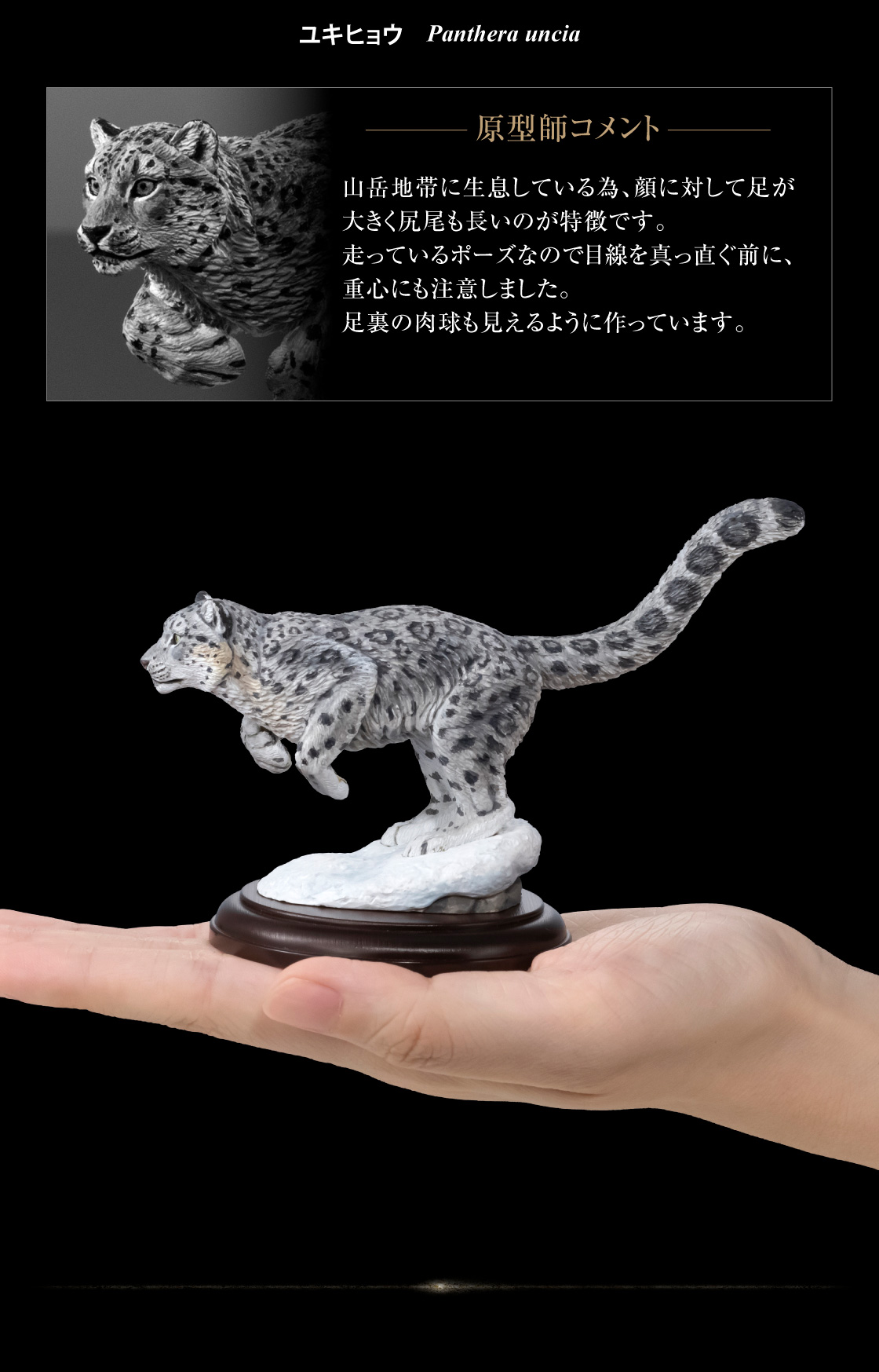 ユキヒョウ 原型師コメント