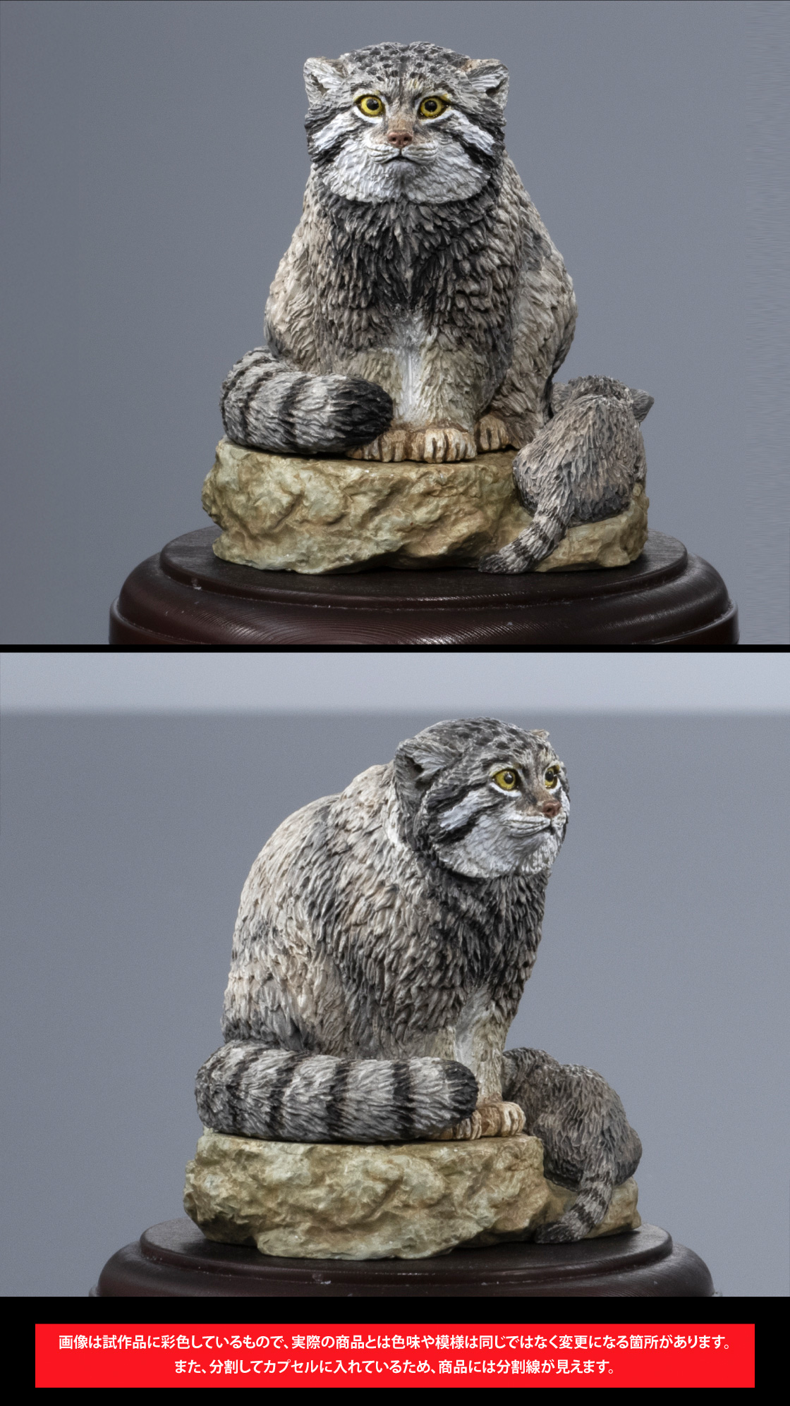 マヌルネコ 画像は試作品に彩色しているもので、実際の商品とは色味や模様は同じではなく変更になる箇所があります。また、分割してカプセルに入れているため、商品には分割線が見えます。