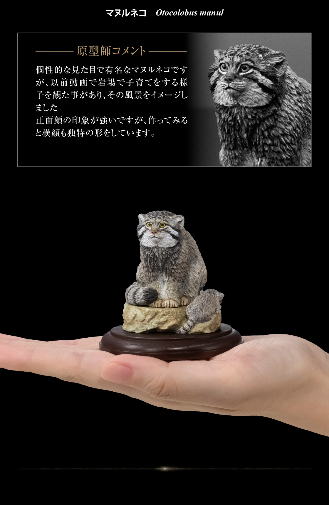 マヌルネコ 原型師コメント