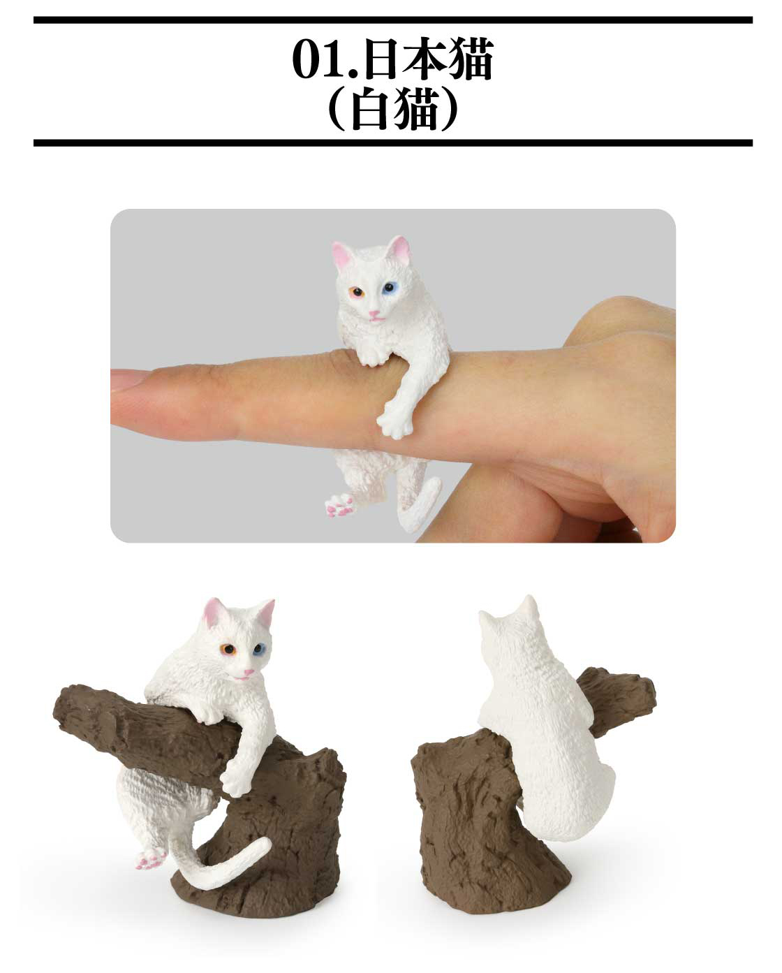 01.日本猫（白猫）