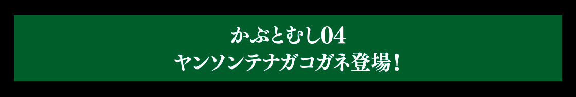 かぶとむし04 ヤンソンテナガコガネ登場！