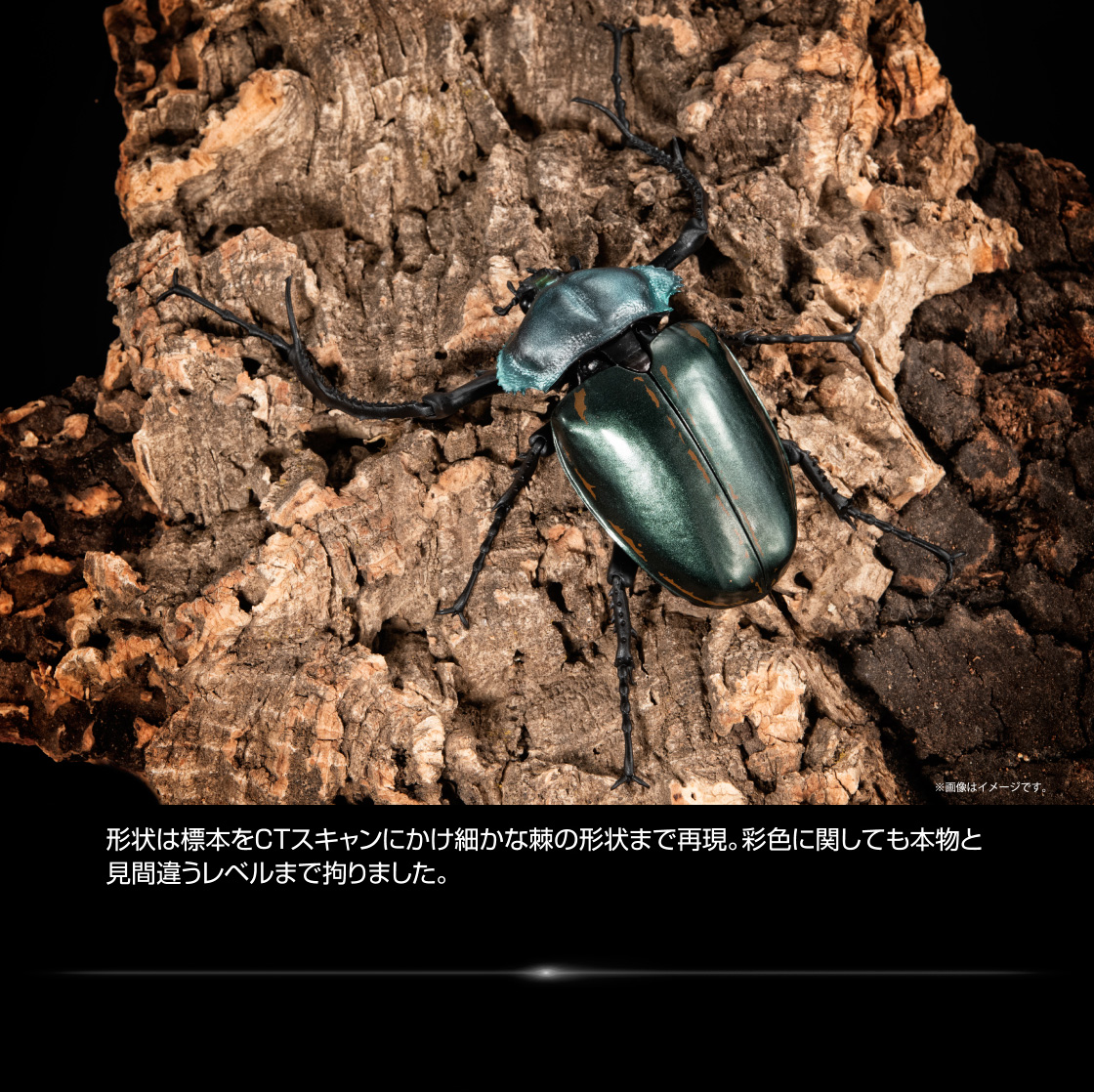 形状は標本をCTスキャンにかけ細かな棘の形状まで再現。