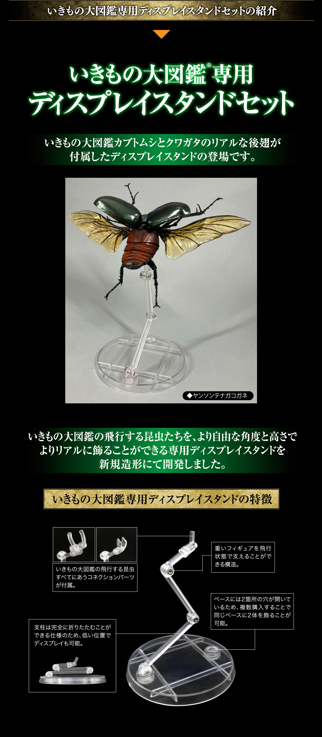 いきもの大図鑑専用ディスプレイスタンドセット