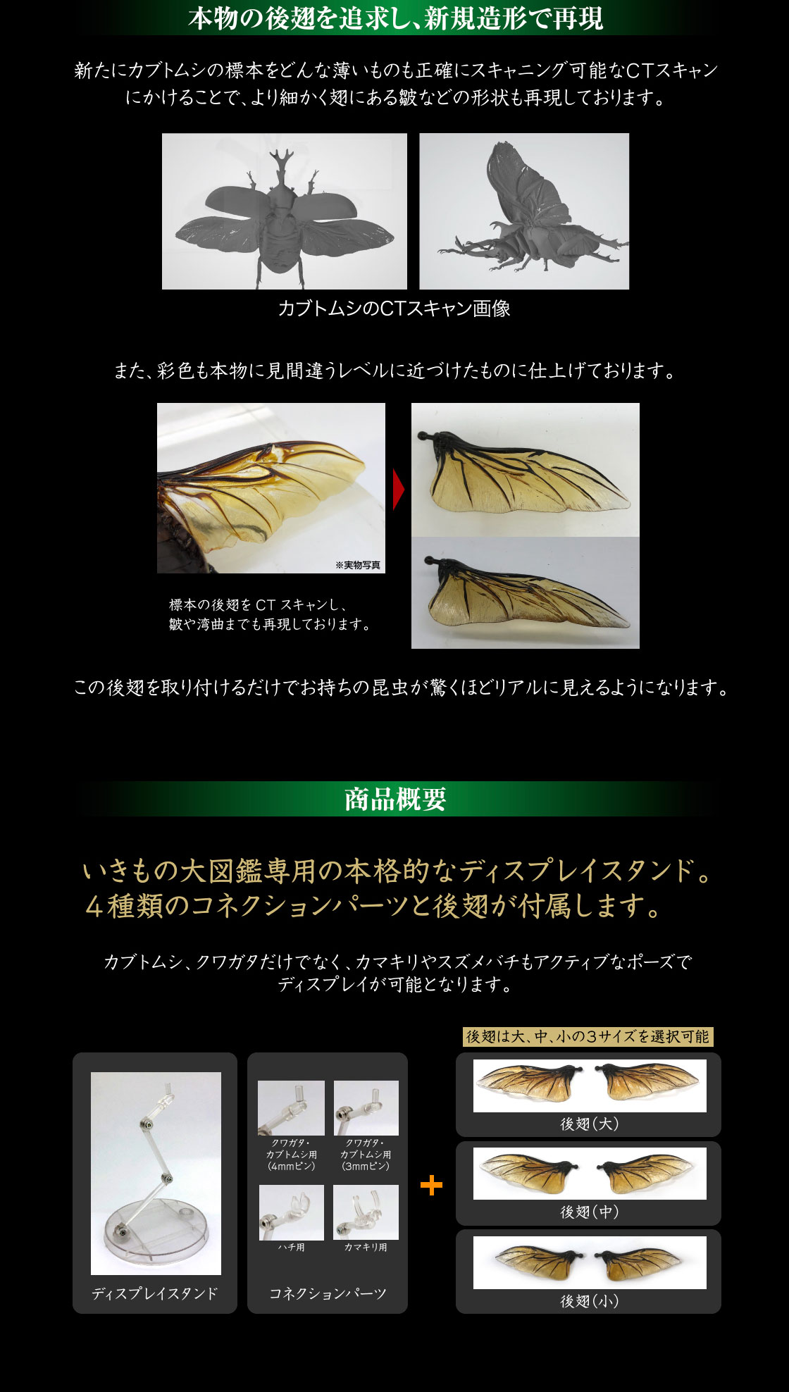 本物の後翅を追求し、新規造形で再現