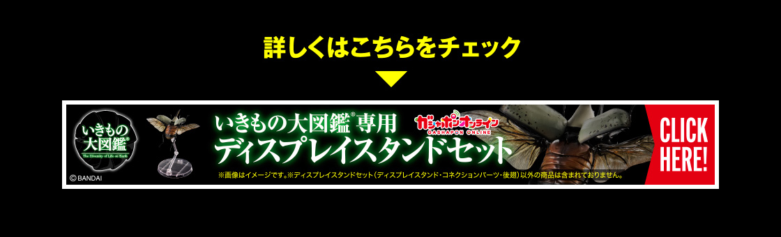 いきもの大図鑑専用ディスプレイスタンドセット