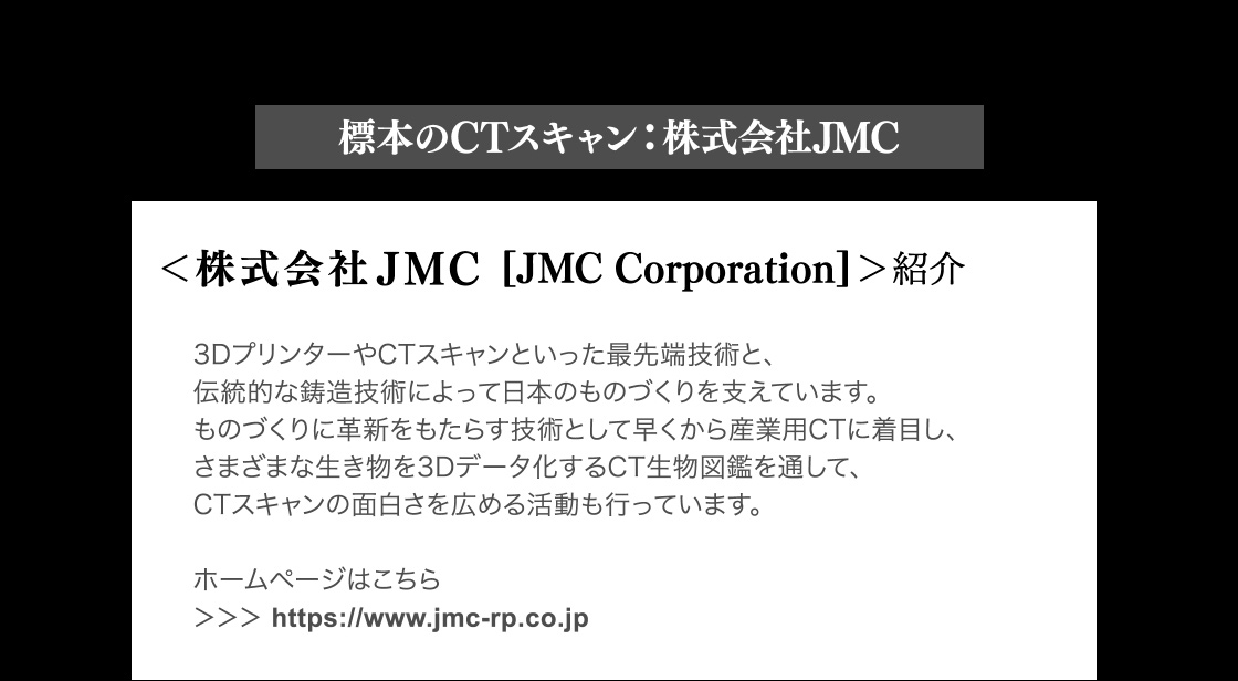 標本CTスキャン：株式会社JMC