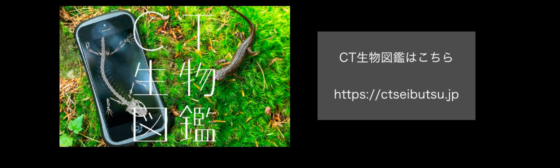 CT生物図鑑はこちら