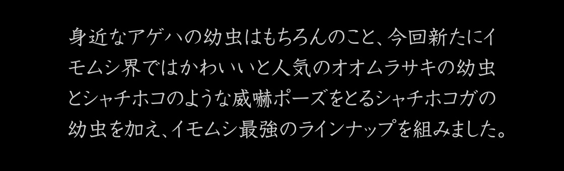 身近なアゲハの幼虫はもちろんのこと、今回新たにイモムシ界ではかわいいと人気のオオムラサキの幼虫とシャチホコのような威嚇ポーズをとるシャチホコガの幼虫を加え、イモムシ最強のラインナップを組みました。