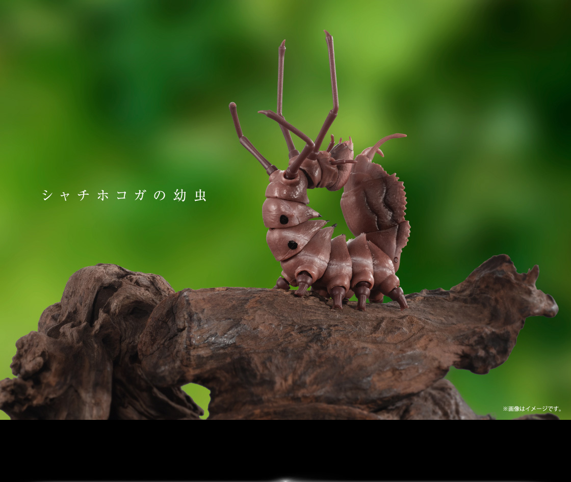 シャチホコガの幼虫イメージ