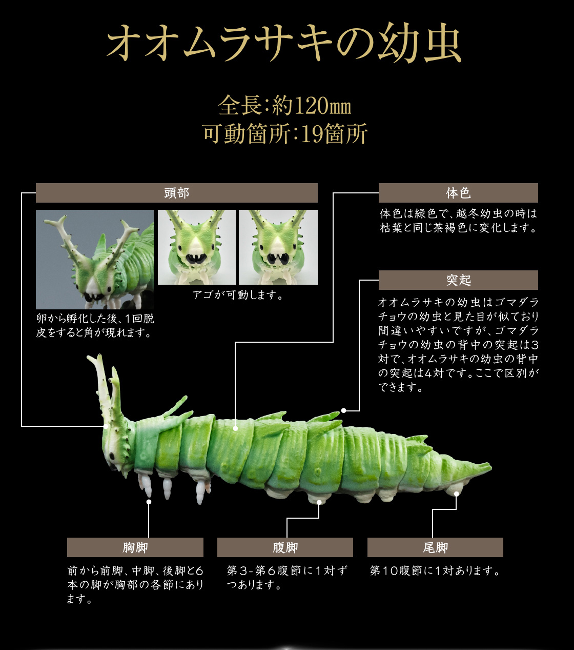 オオムラサキの幼虫 全長：約120mm 可動箇所：19箇所