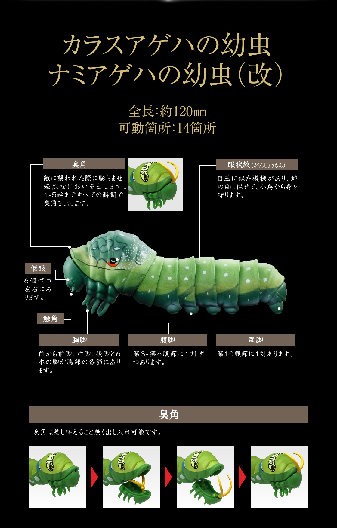 カラスアゲハの幼虫 ナミアゲハの幼虫（改） 全長：約120mm 可動箇所：14箇所