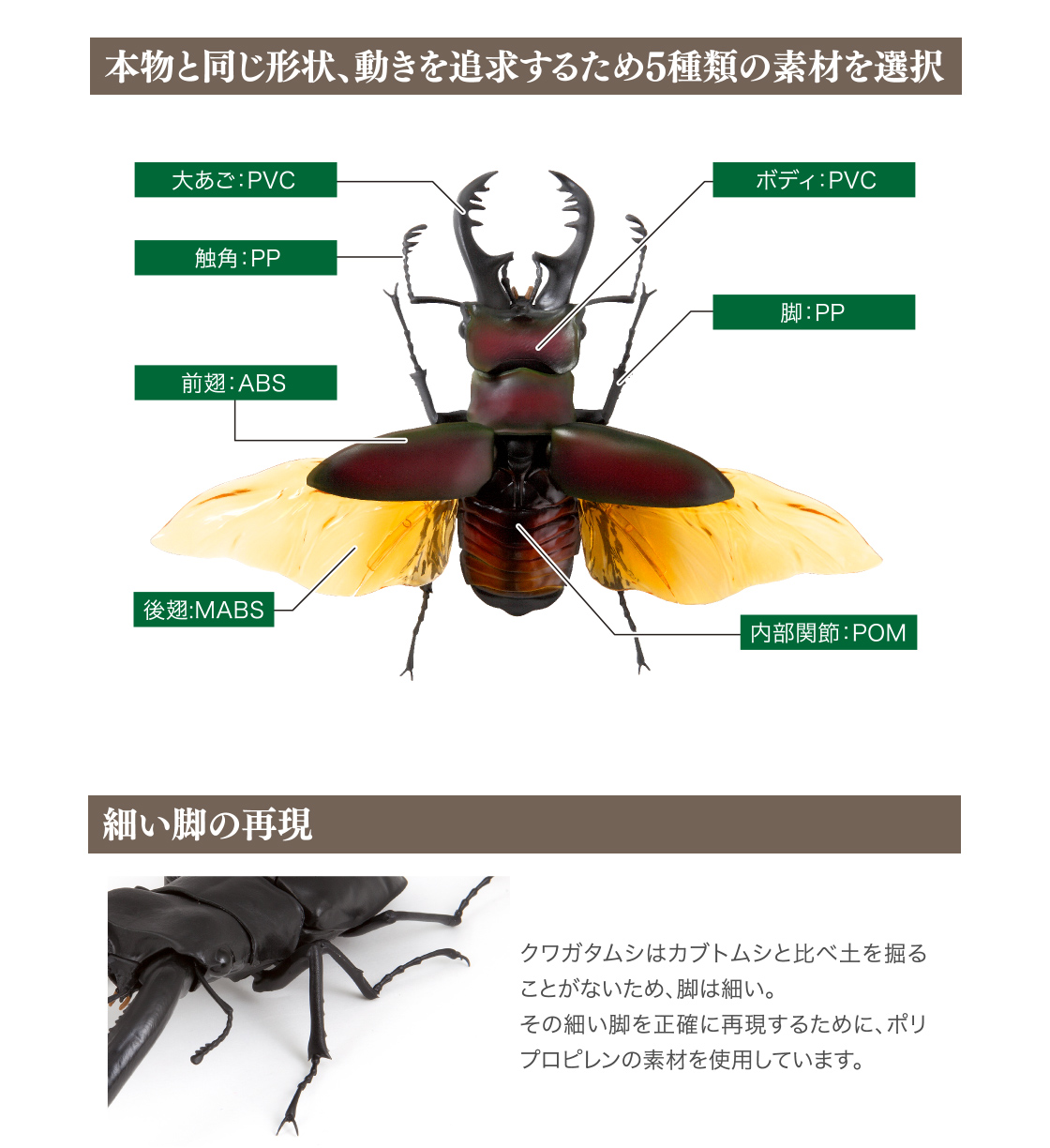 くわがた02 いきもの大図鑑 ガシャポンオフィシャルサイト くわがた02 いきもの大図鑑 ガシャポンオフィシャルサイト