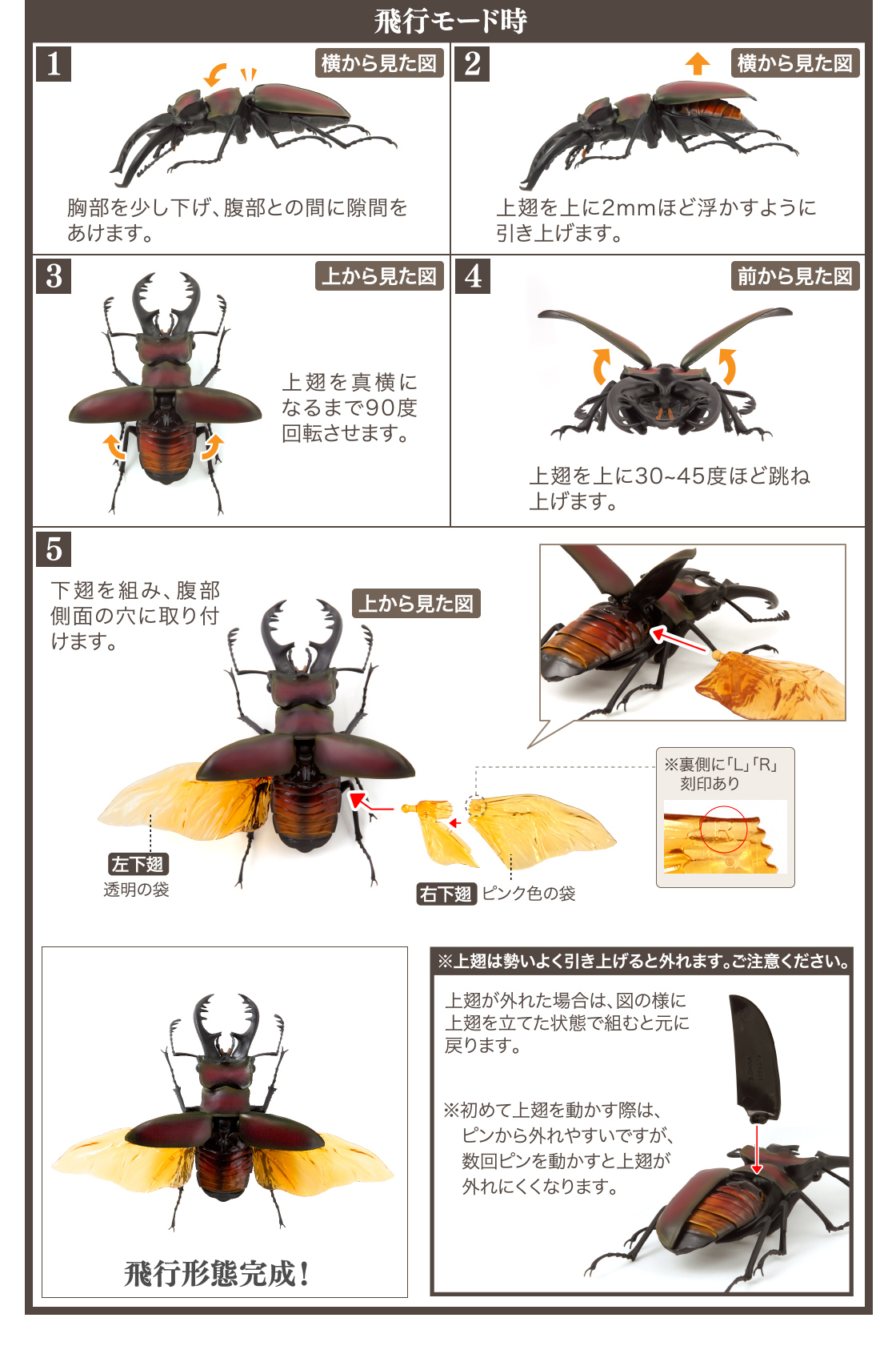 くわがた02 いきもの大図鑑 ガシャポンオフィシャルサイト くわがた02 いきもの大図鑑 ガシャポンオフィシャルサイト