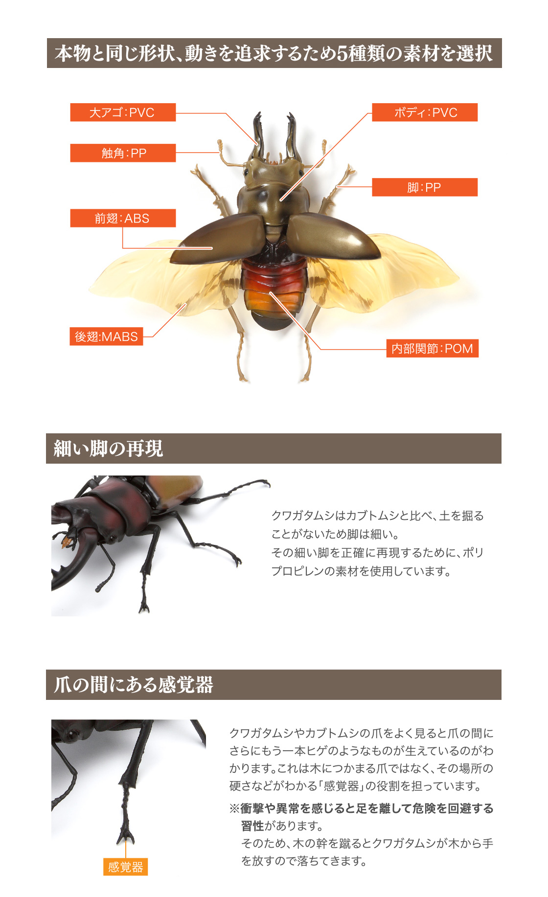 くわがた03 いきもの大図鑑 ガシャポンオフィシャルサイト くわがた03 いきもの大図鑑 ガシャポンオフィシャルサイト