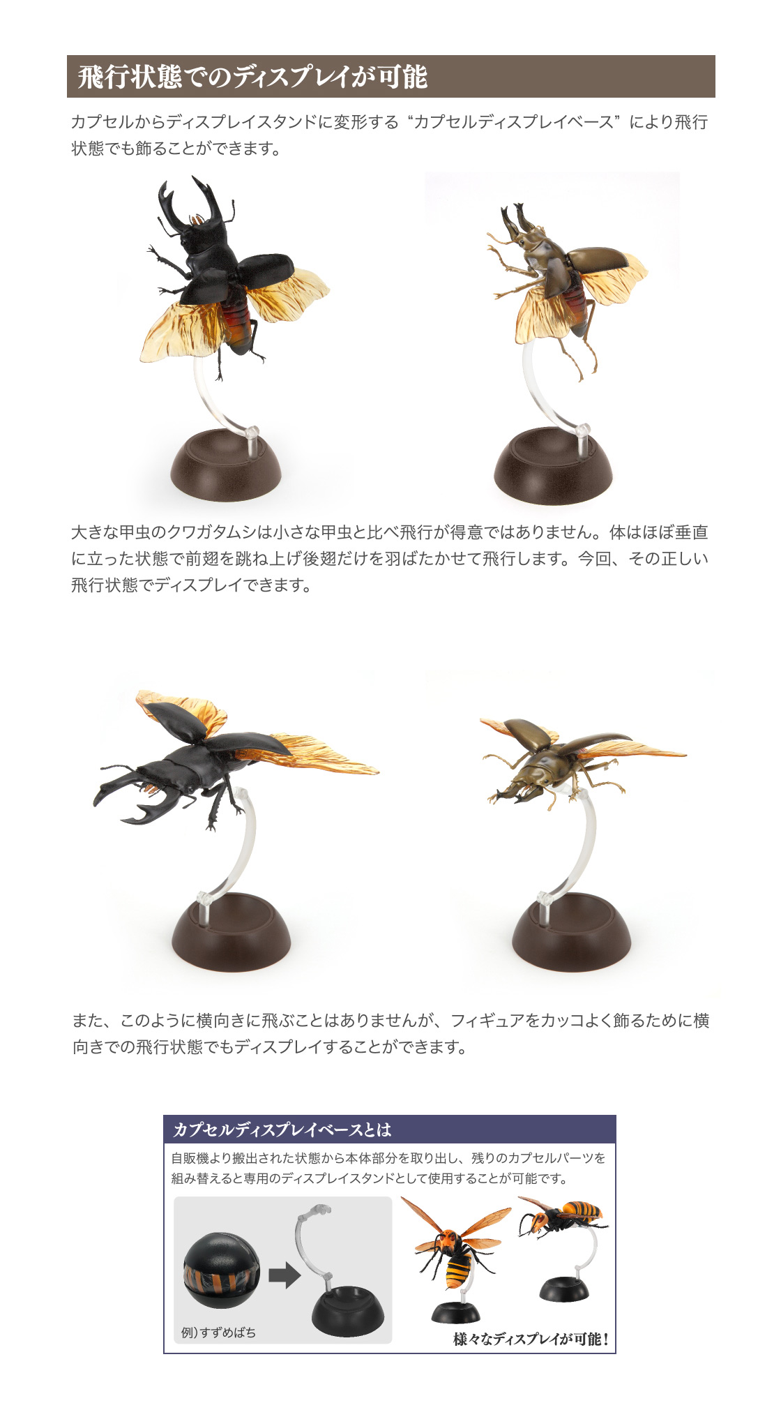 くわがた03 いきもの大図鑑 ガシャポンオフィシャルサイト くわがた03 いきもの大図鑑 ガシャポンオフィシャルサイト