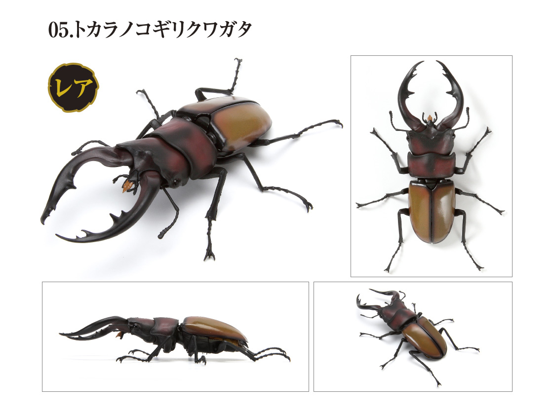 22正規激安 いきもの大図鑑 くわがた 03 Kuwagata オオクワガタ バンダイ ガチャポン フィギュア クワガタ 昆虫 22正規激安 いきもの大図鑑 くわがた 03 Kuwagata オオクワガタ バンダイ ガチャポン フィギュア クワガタ 昆虫