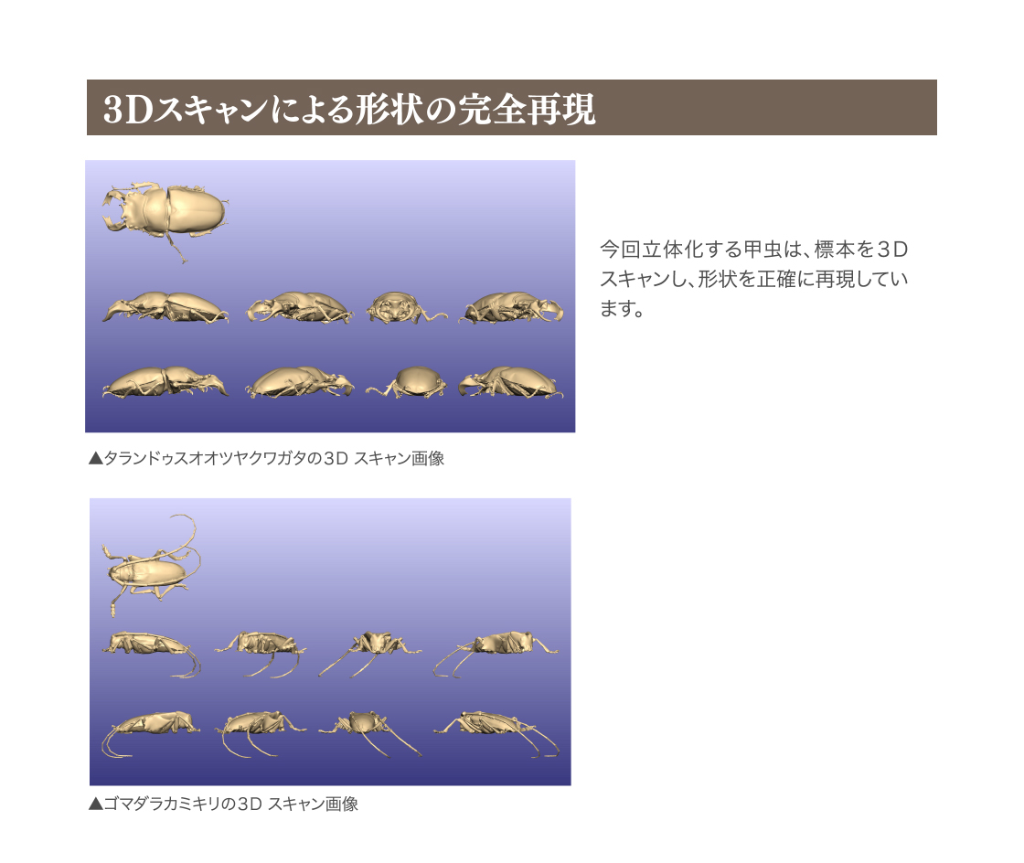 3Dスキャンによる形状の完全再現