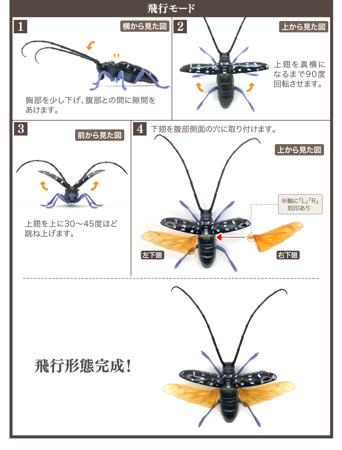 いきもの大図鑑 くわがた04 いきもの大図鑑 ガシャポンオフィシャルサイト いきもの大図鑑 くわがた04 いきもの大図鑑 ガシャポンオフィシャルサイト