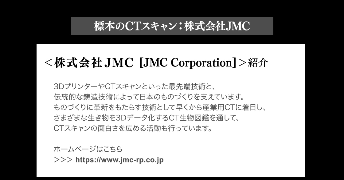 標本のCTスキャン：株式会社JMC