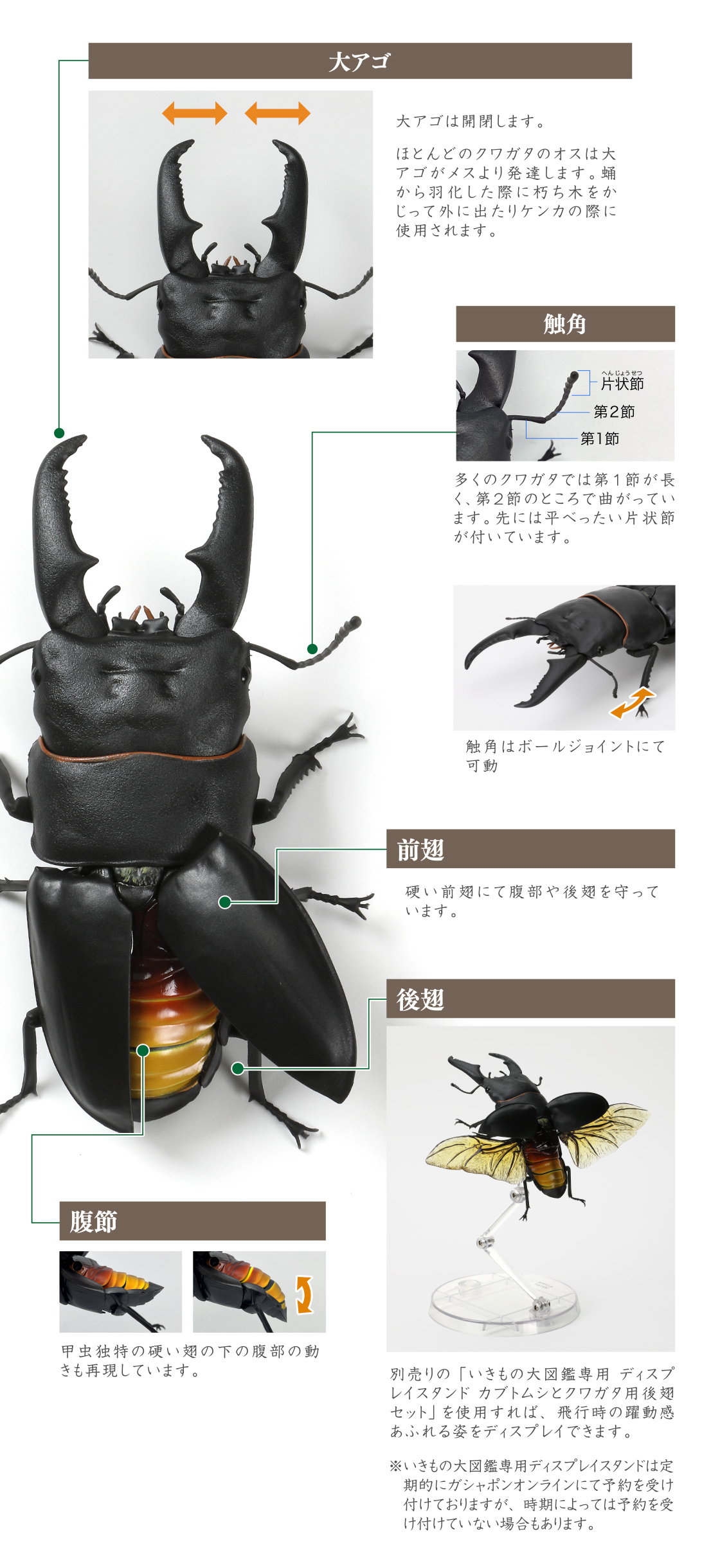 いきもの大図鑑 くわがた かぶとむし ガチャガチャ - その他