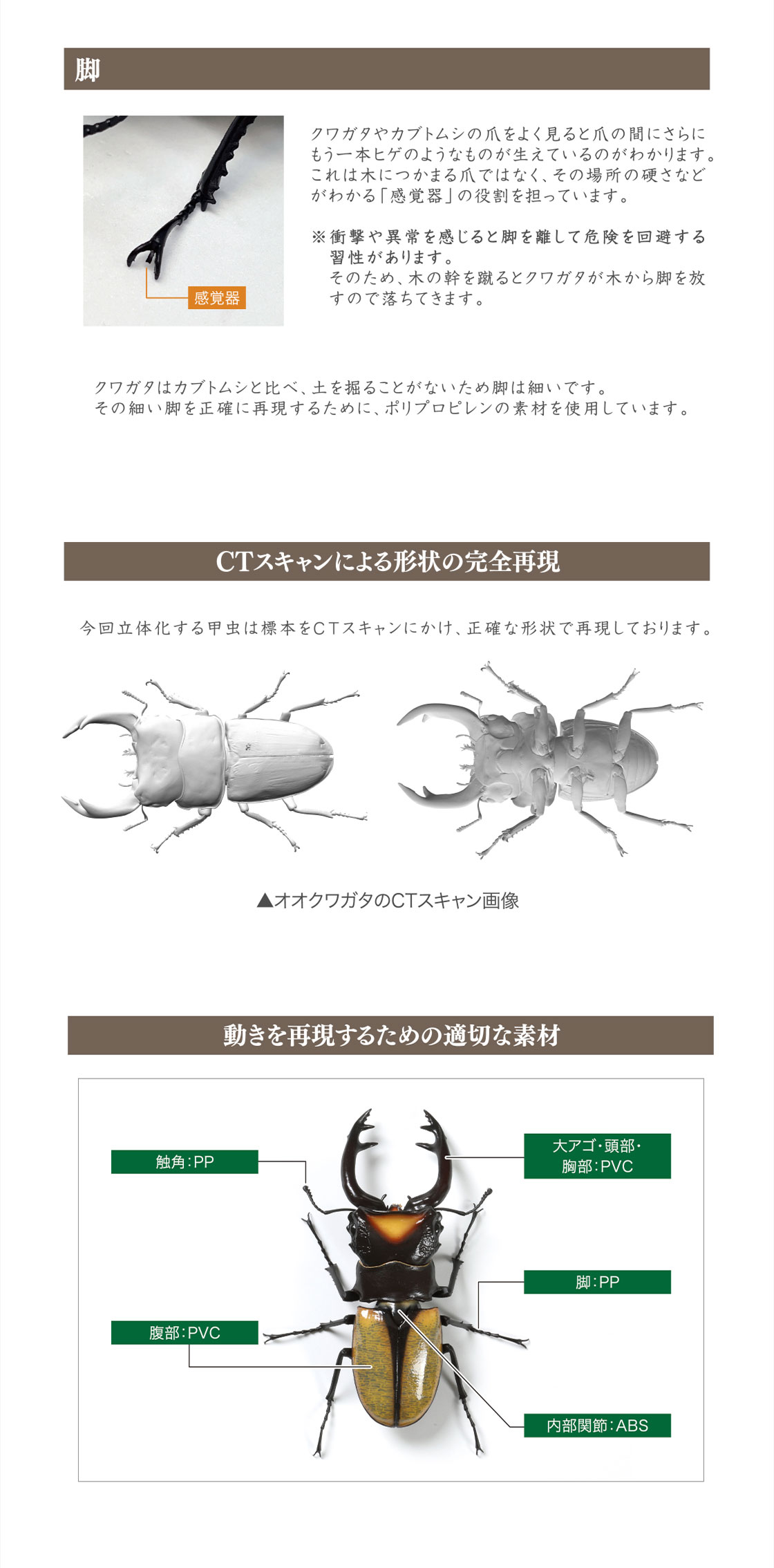 脚 CTスキャンによる形状の完全再現 動きを再現するための適切な素材