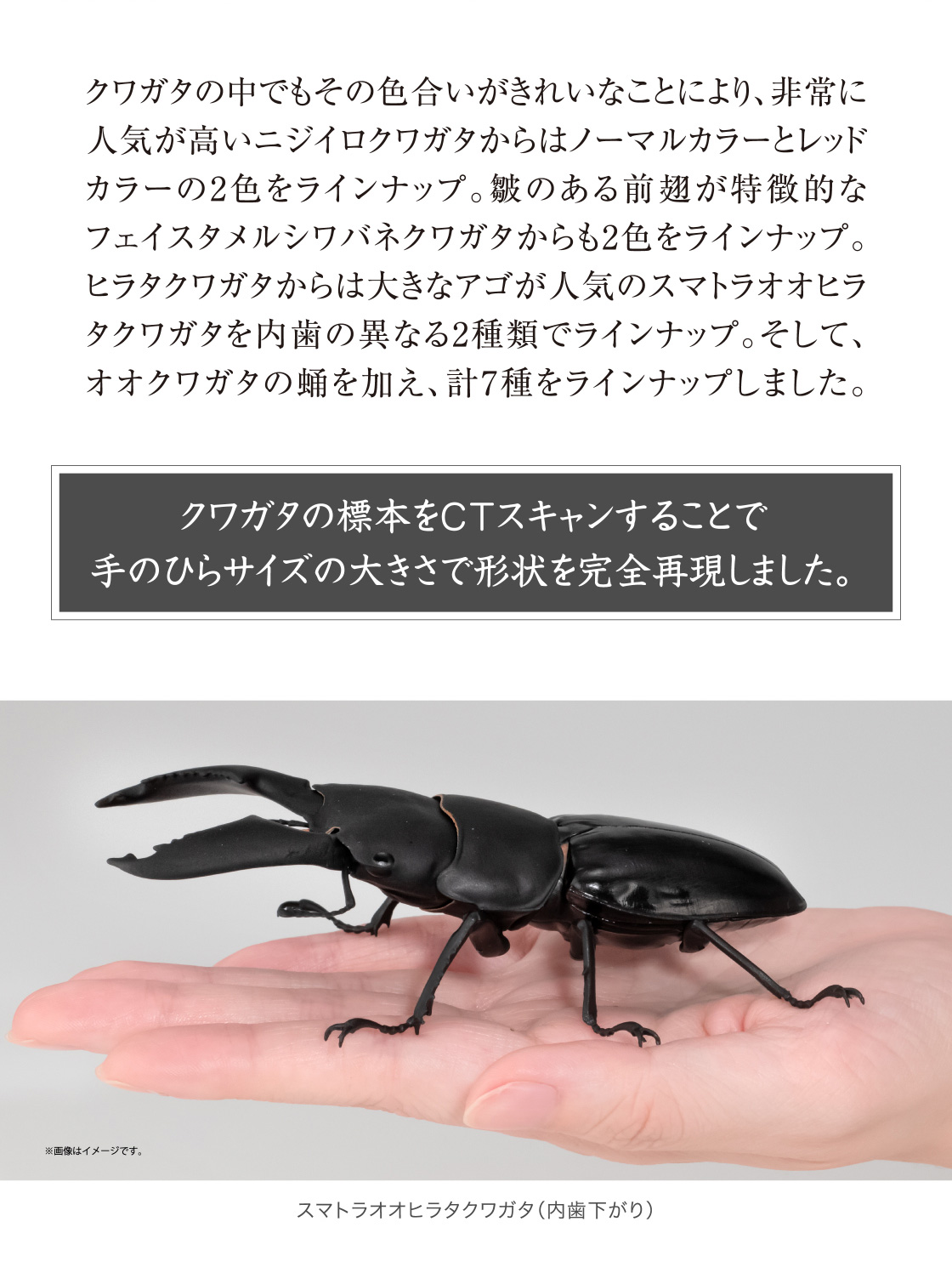 クワガタの標本をCTスキャンすることで手のひらサイズの大きさで形状を完全再現しました。