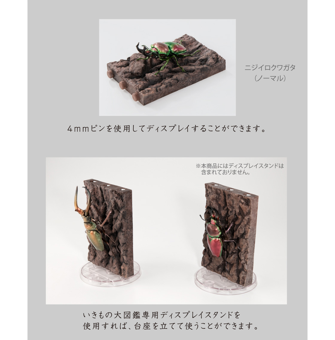 4mmピンを使用してディスプレイすることができます。いきもの大図鑑専用ディスプレイを使用すれば、台座を立てて使うことができます。