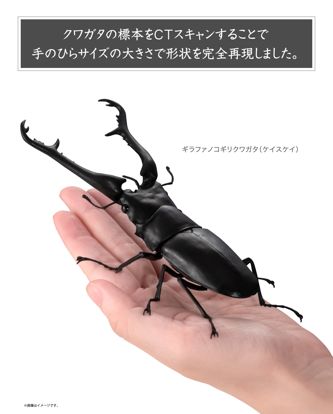クワガタの標本をCTスキャンすることで手のひらサイズの大きさで形状を完全再現しました。