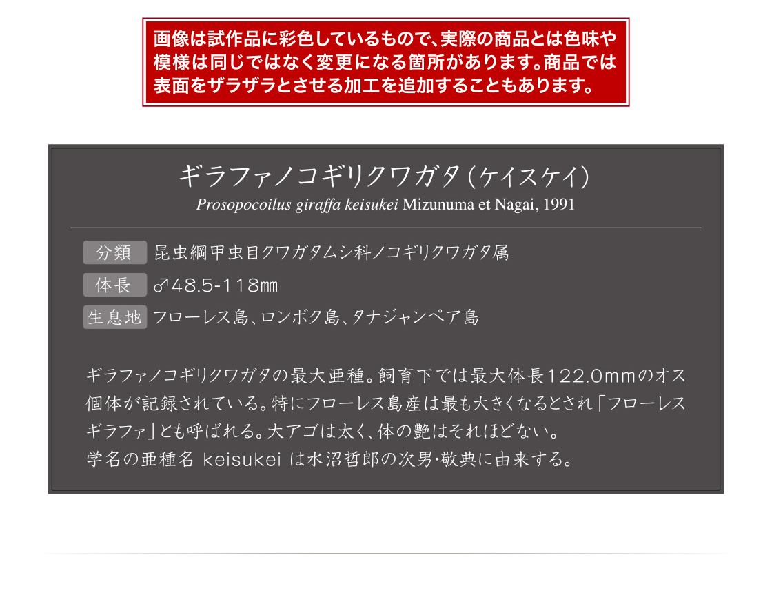 画像は試作品に彩色しているもので、実際の商品とは色味や模様は同じではなく変更になる箇所があります。商品では表面をザラザラとさせる加工を追加することもあります。