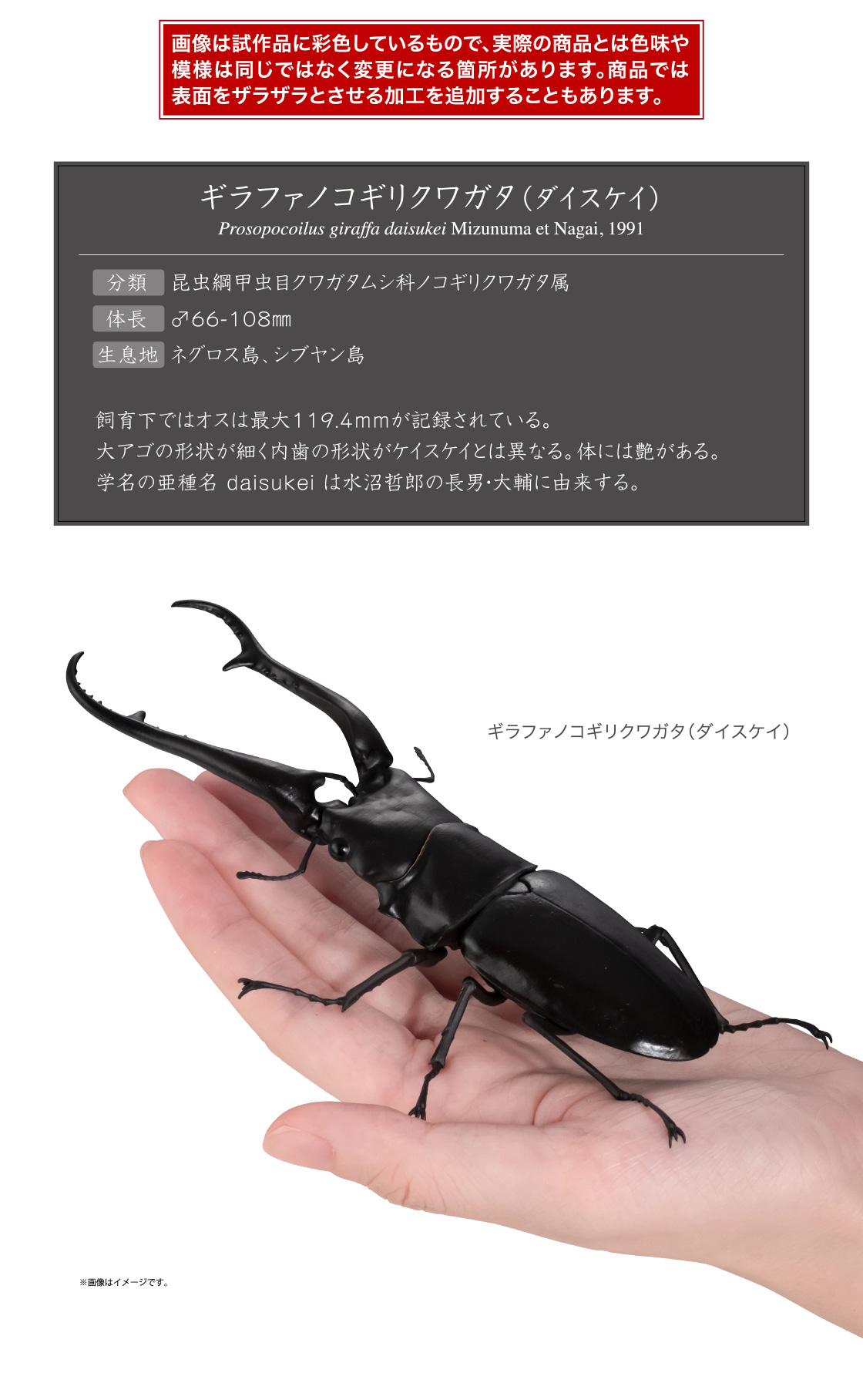 画像は試作品に彩色しているもので、実際の商品とは色味や模様は同じではなく変更になる箇所があります。商品では表面をザラザラとさせる加工を追加することもあります。