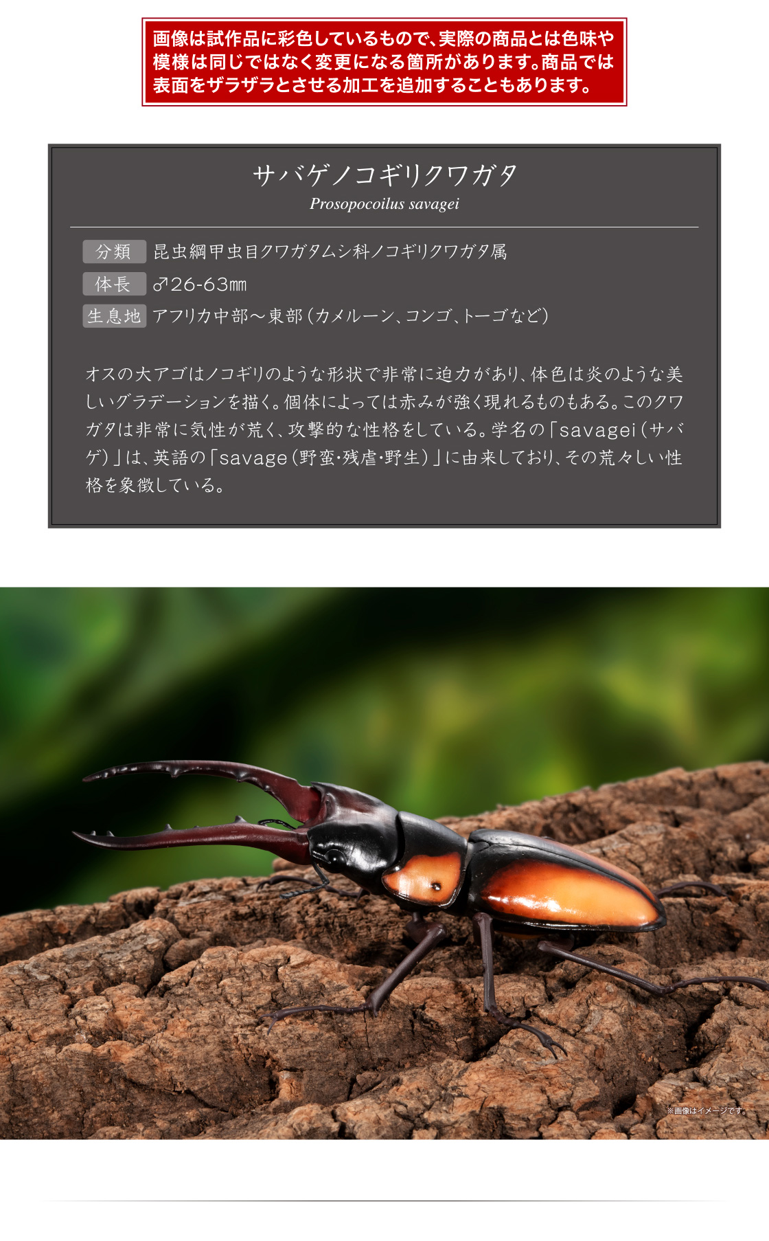 画像は試作品に彩色しているもので、実際の商品とは色味や模様は同じではなく変更になる箇所があります。商品では表面をザラザラとさせる加工を追加することもあります。