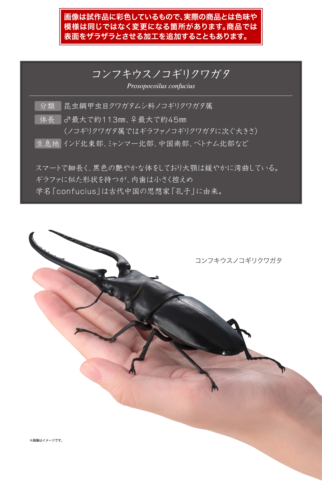 画像は試作品に彩色しているもので、実際の商品とは色味や模様は同じではなく変更になる箇所があります。商品では表面をザラザラとさせる加工を追加することもあります。